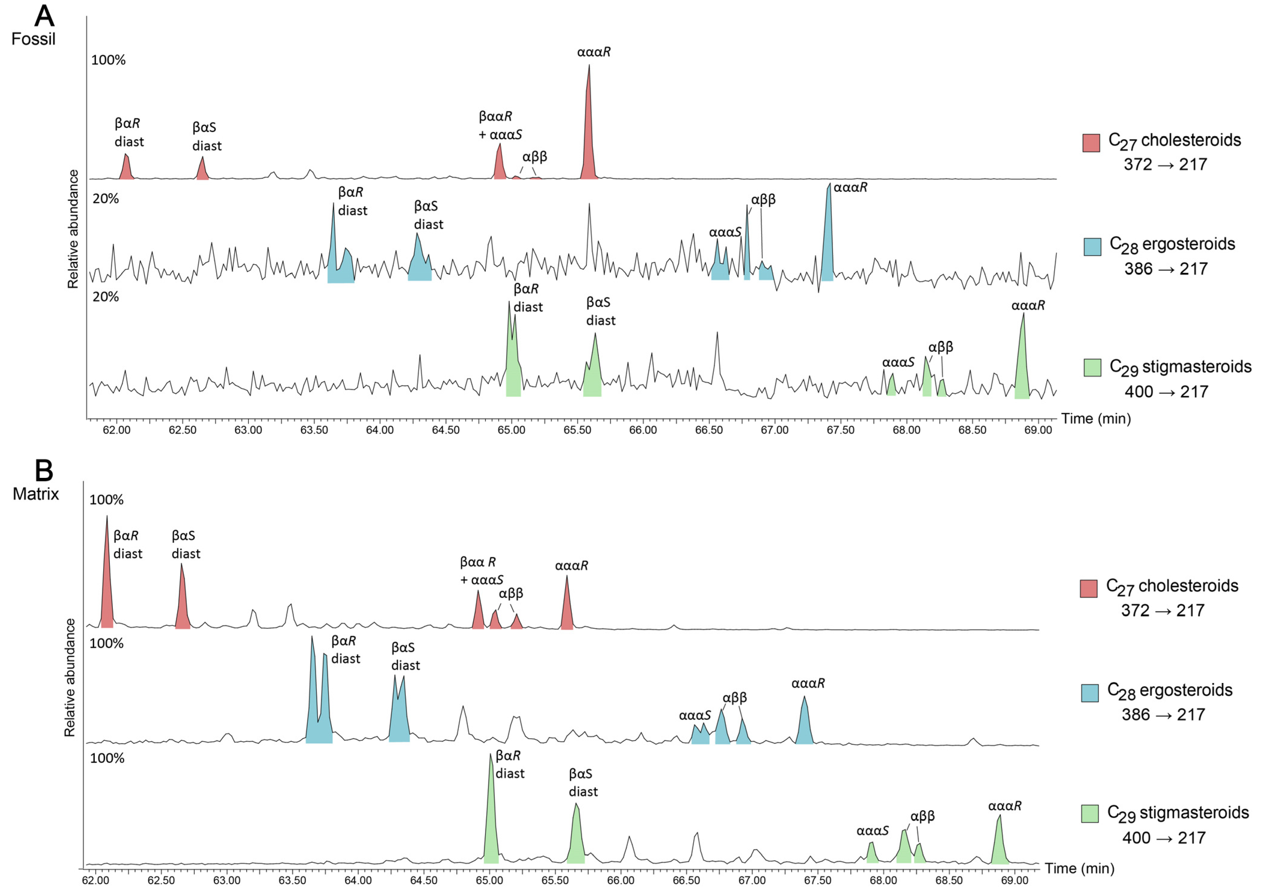 Biology 11 01289 g002 550