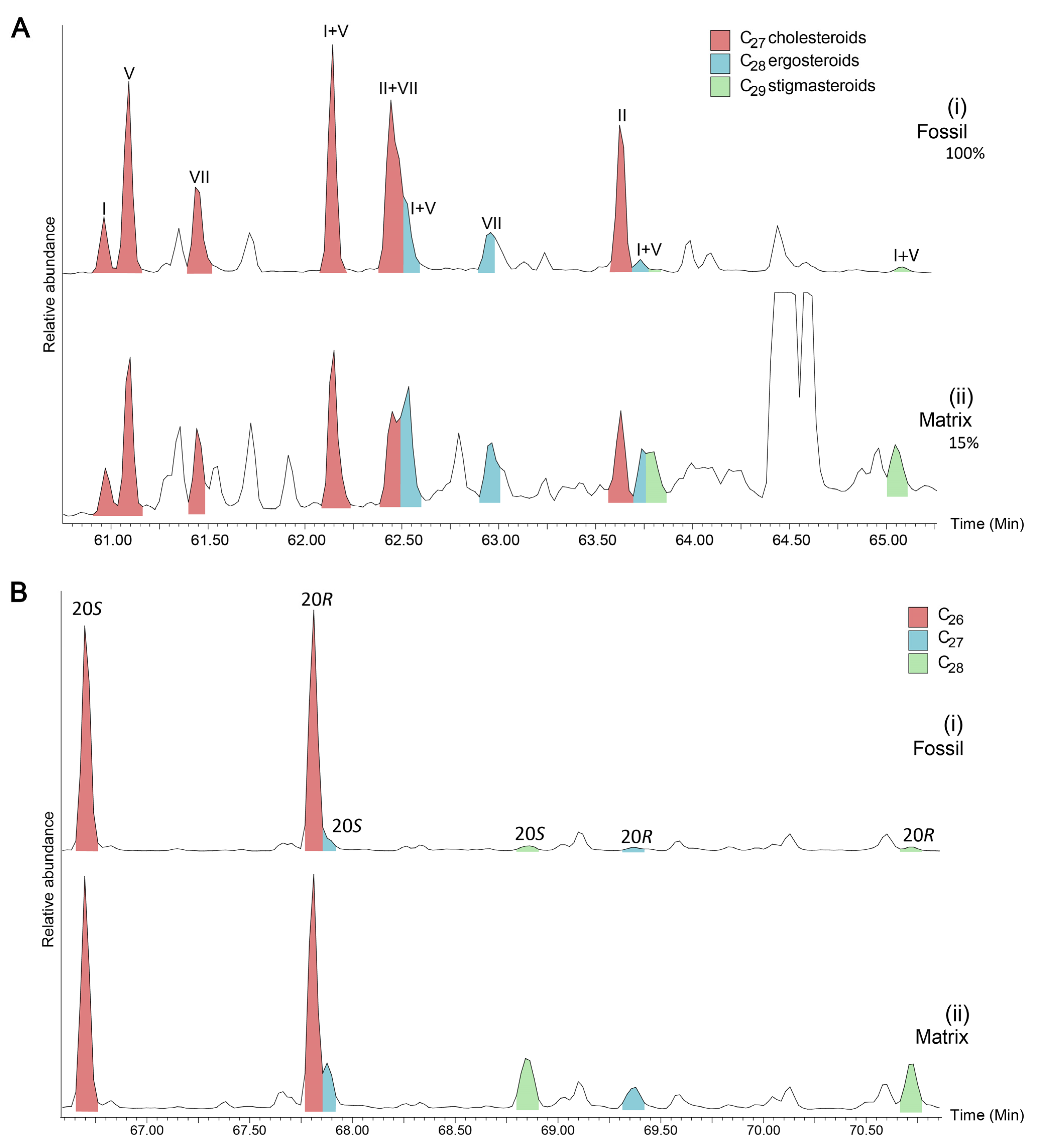 Biology 11 01289 g003 550