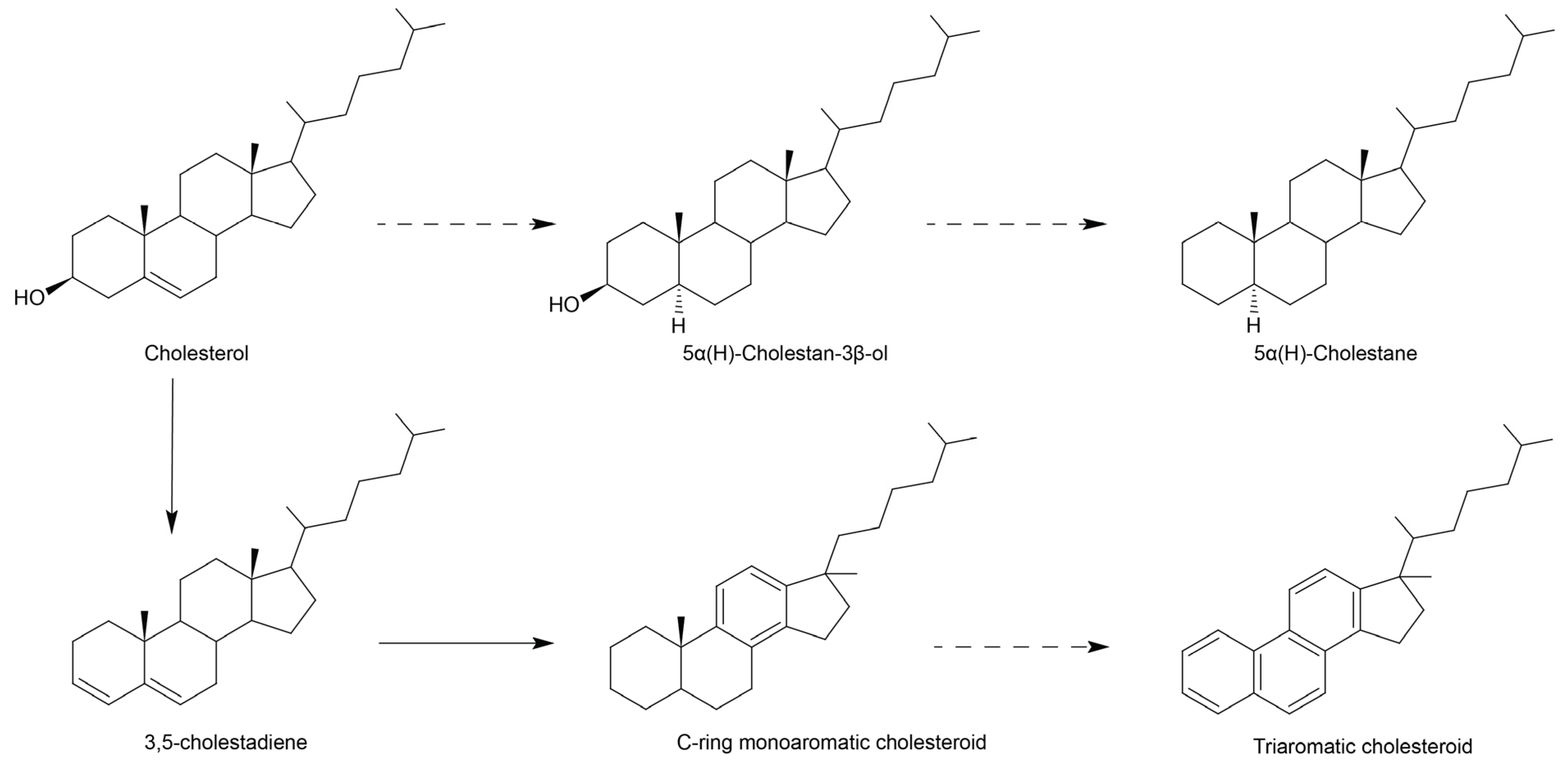 Biology 11 01289 g006 550
