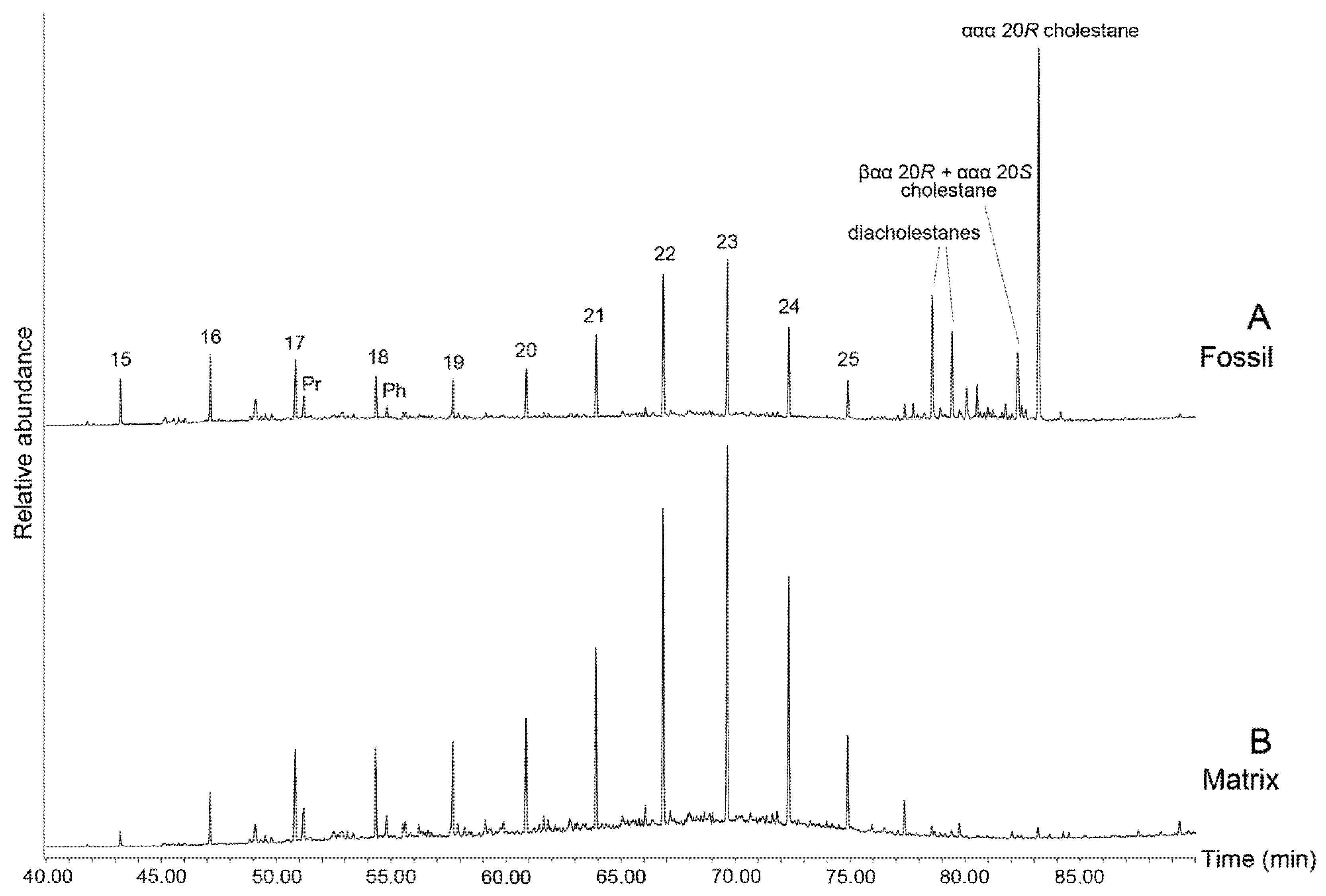 Biology 11 01289 g007 550