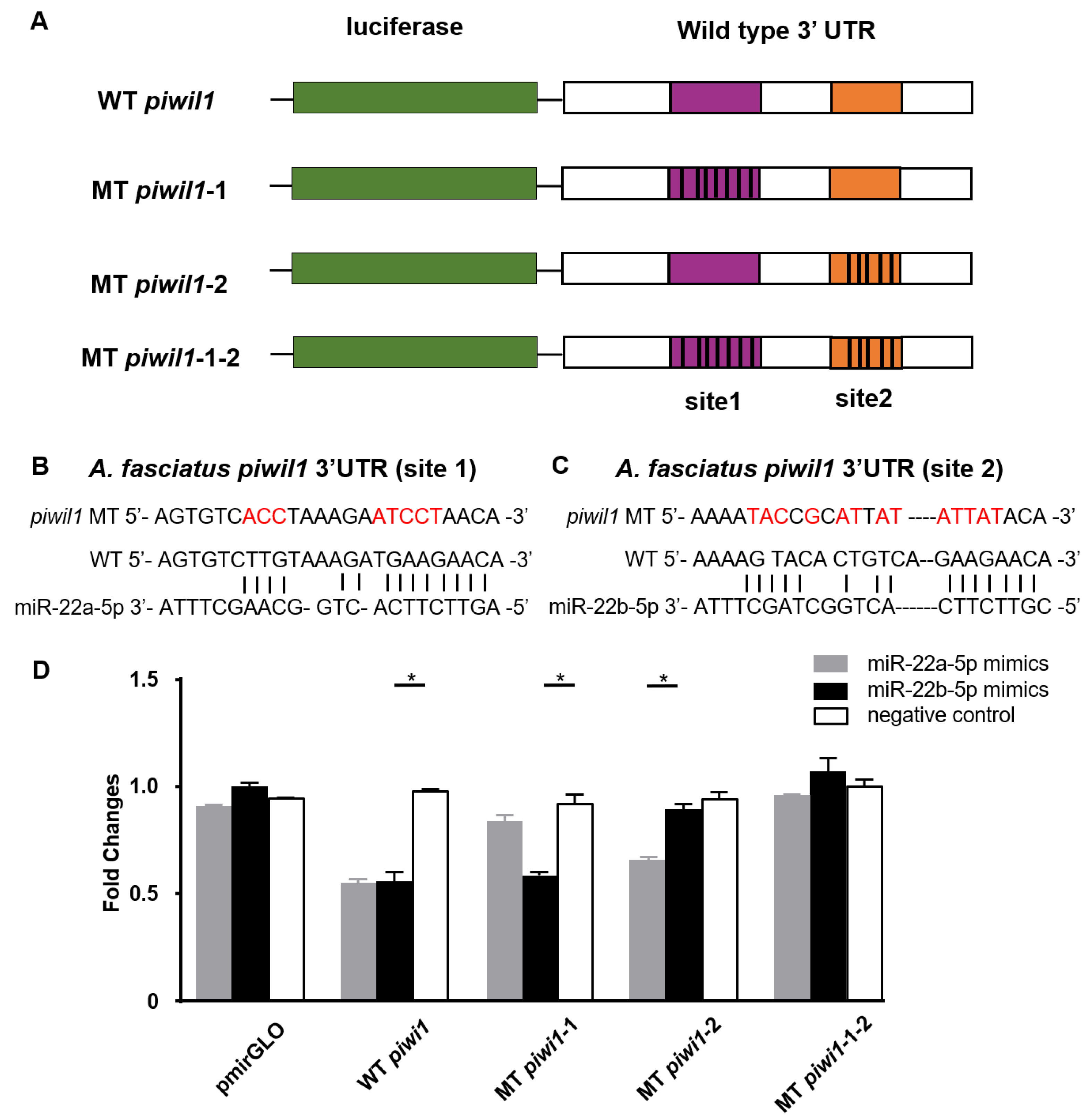 Biology 11 01296 g007