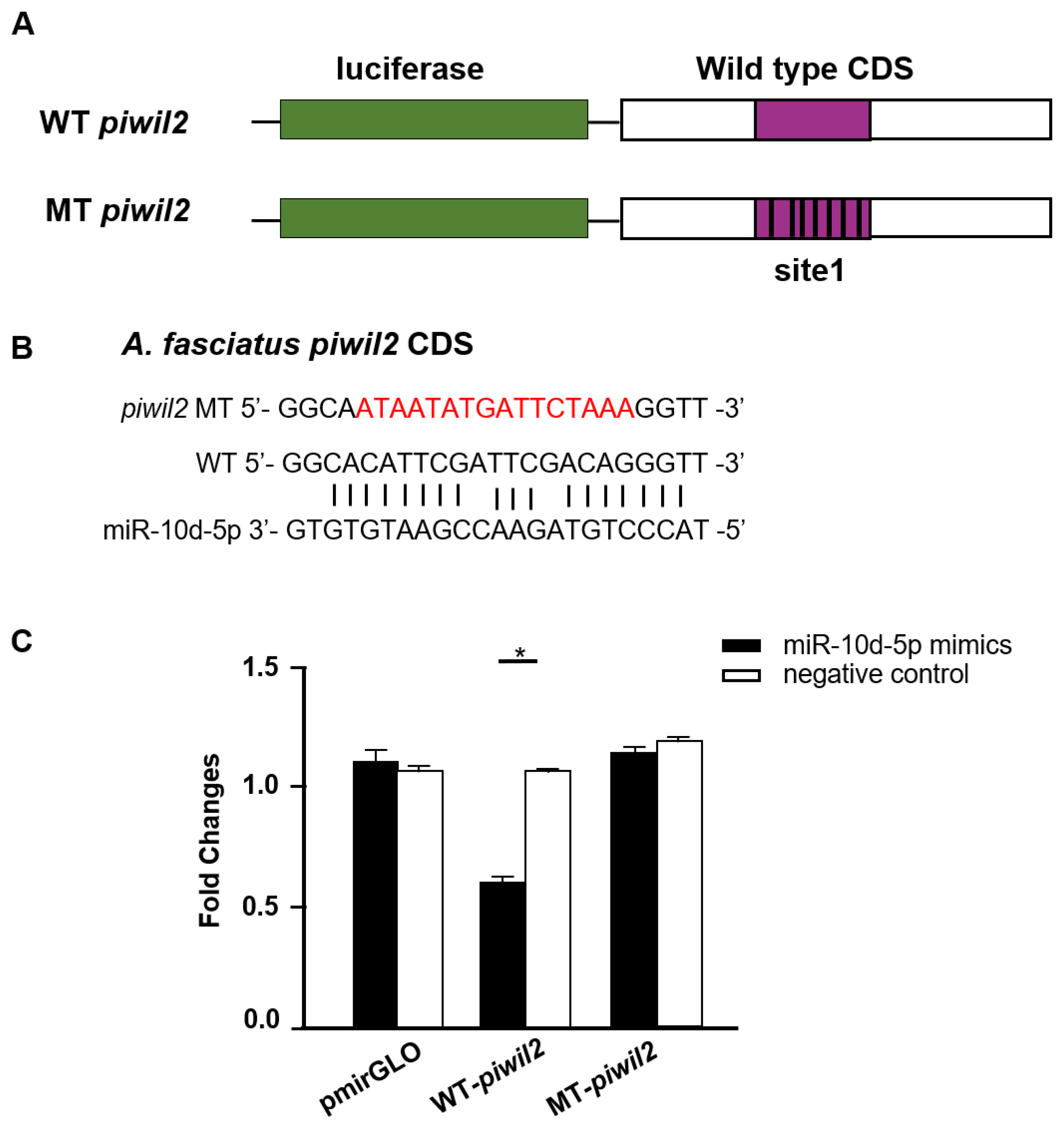 Biology 11 01296 g008