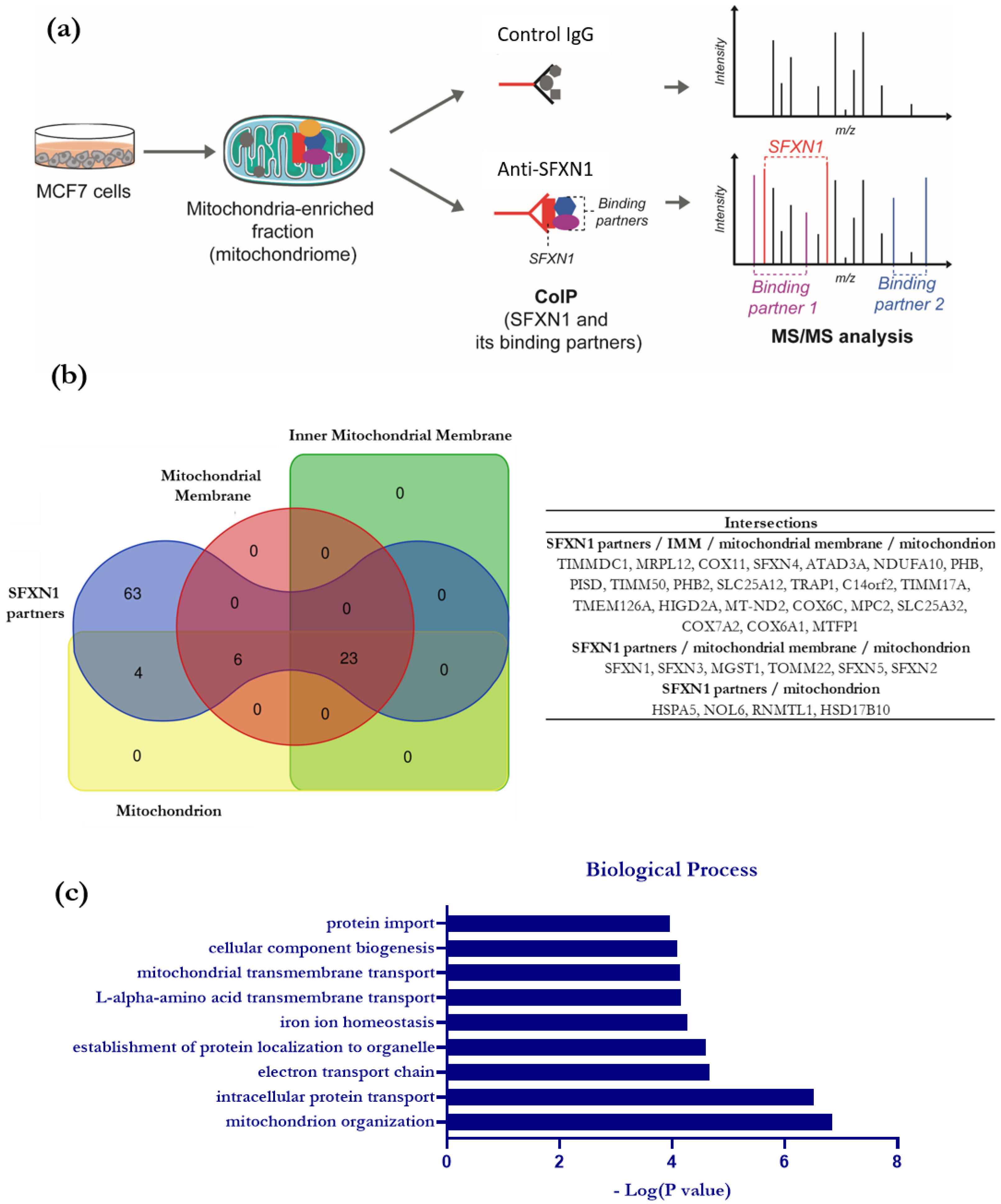 Biology 11 01298 g002