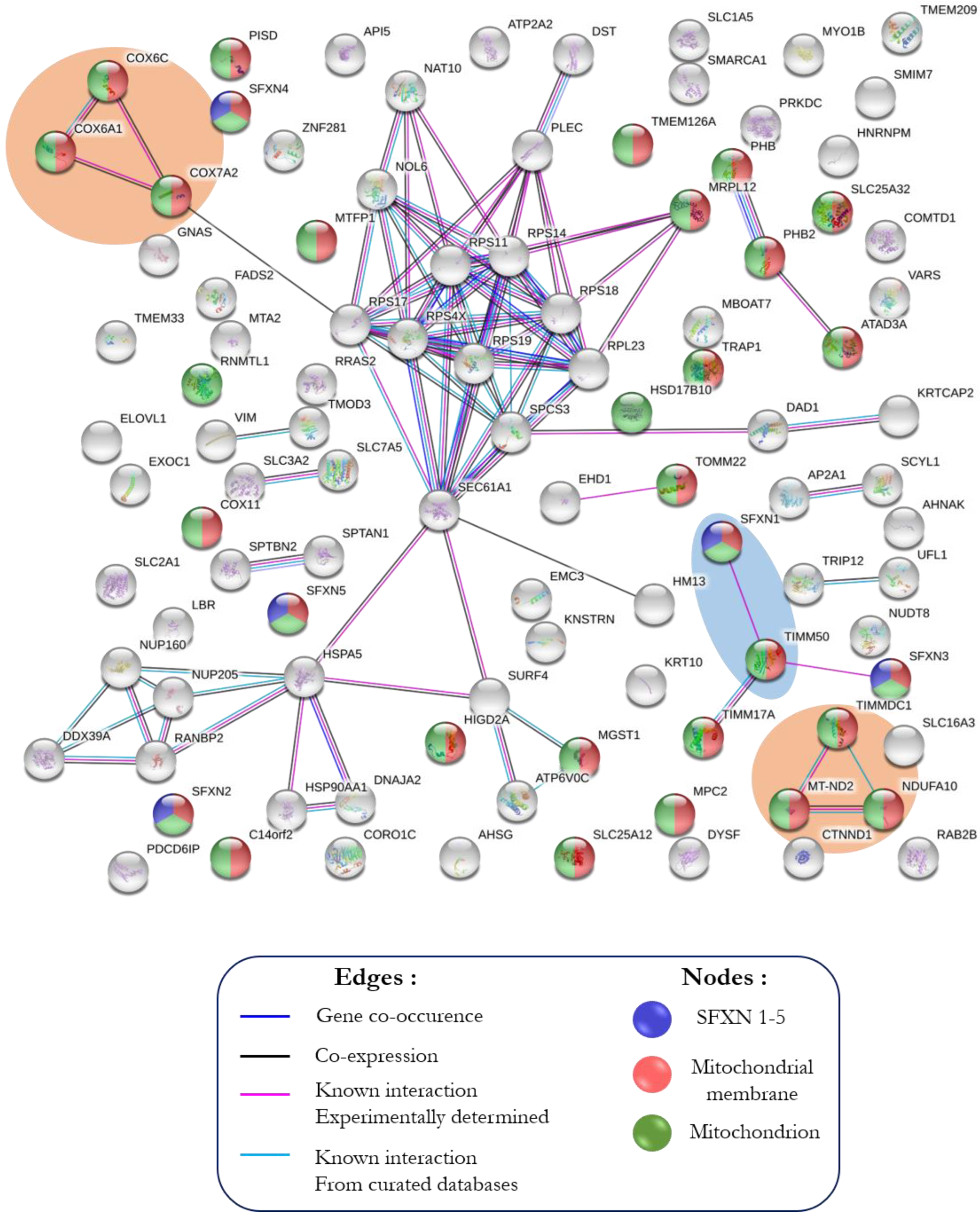 Biology 11 01298 g003