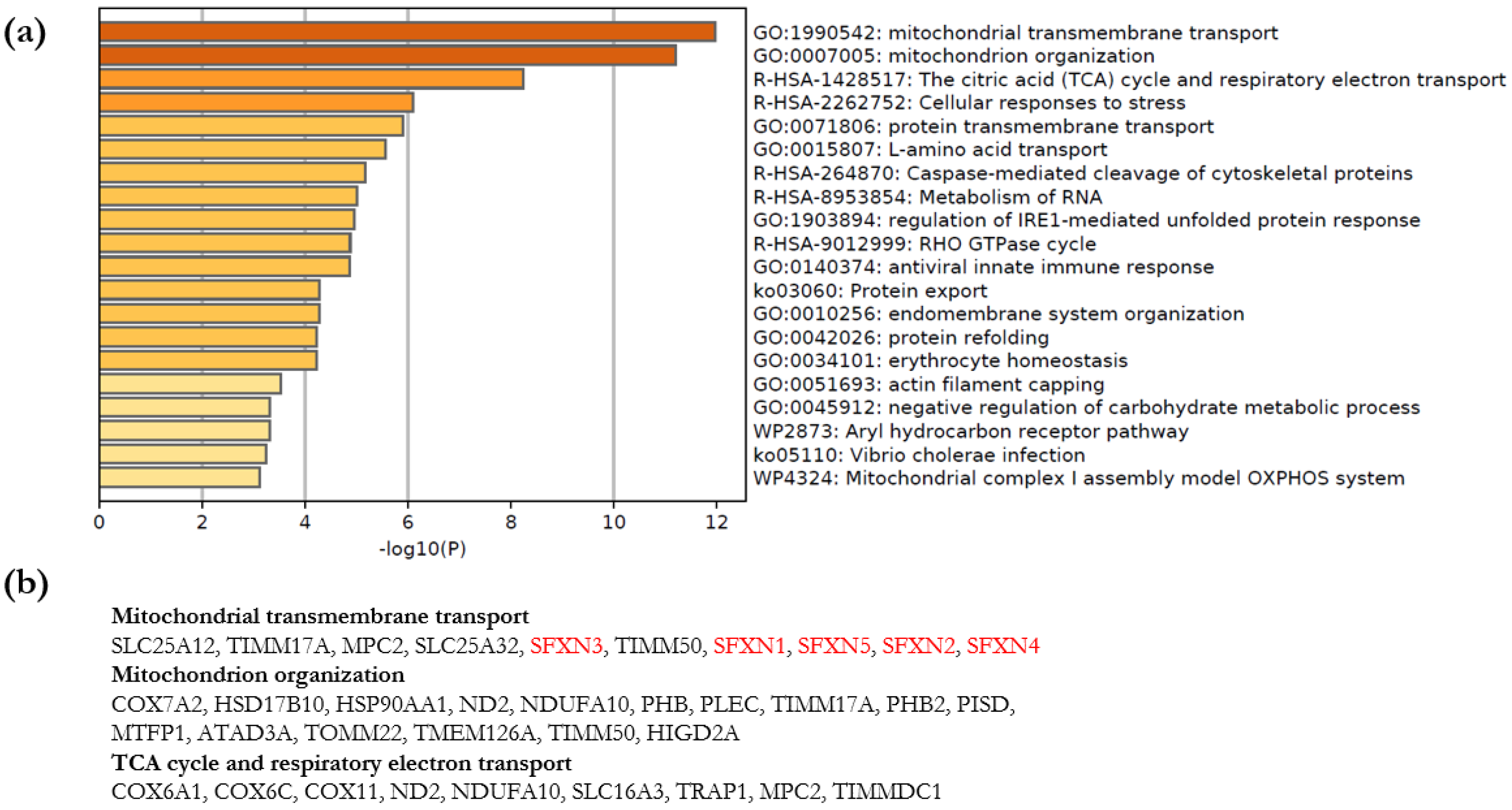 Biology 11 01298 g004