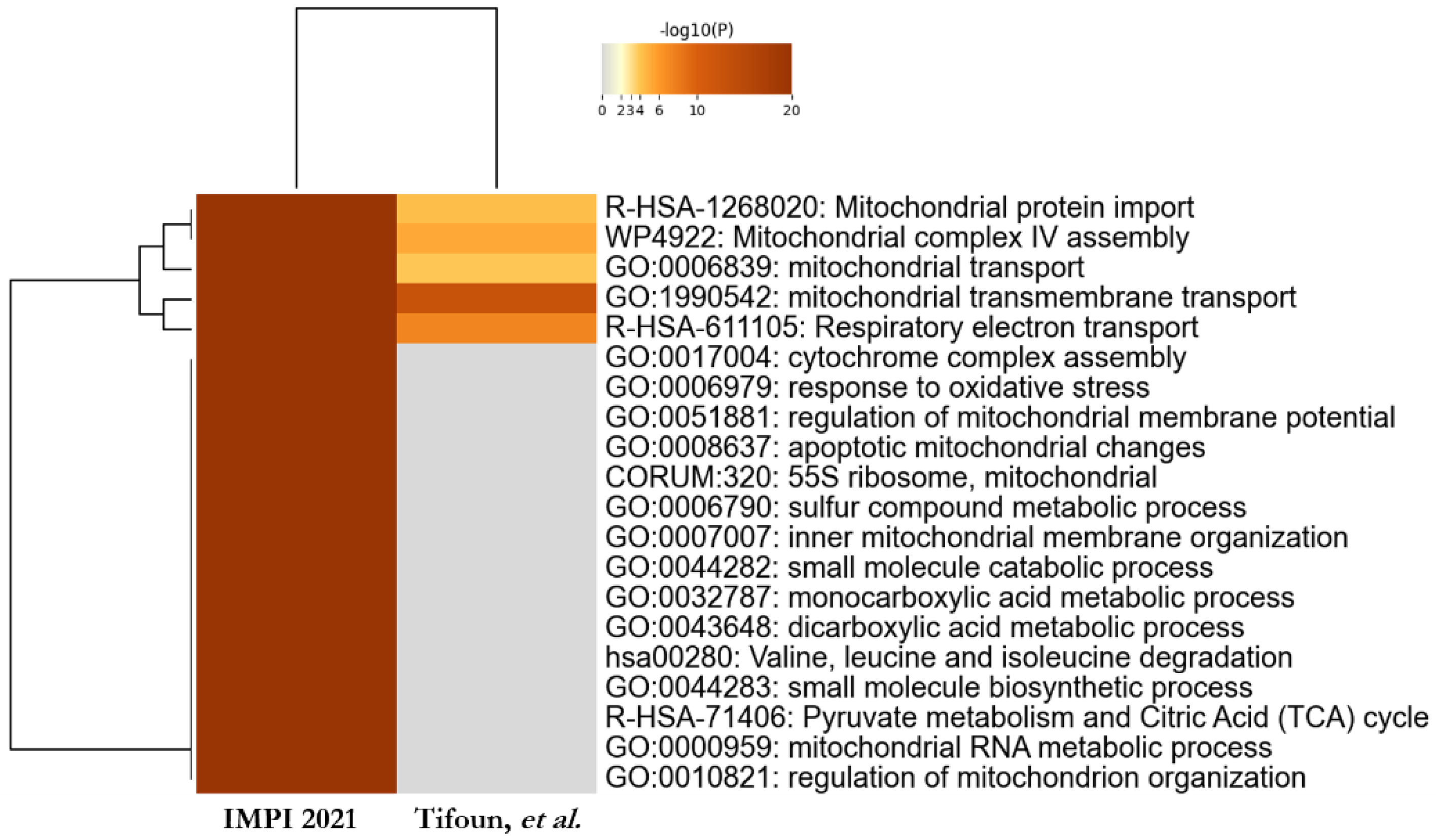 Biology 11 01298 g005
