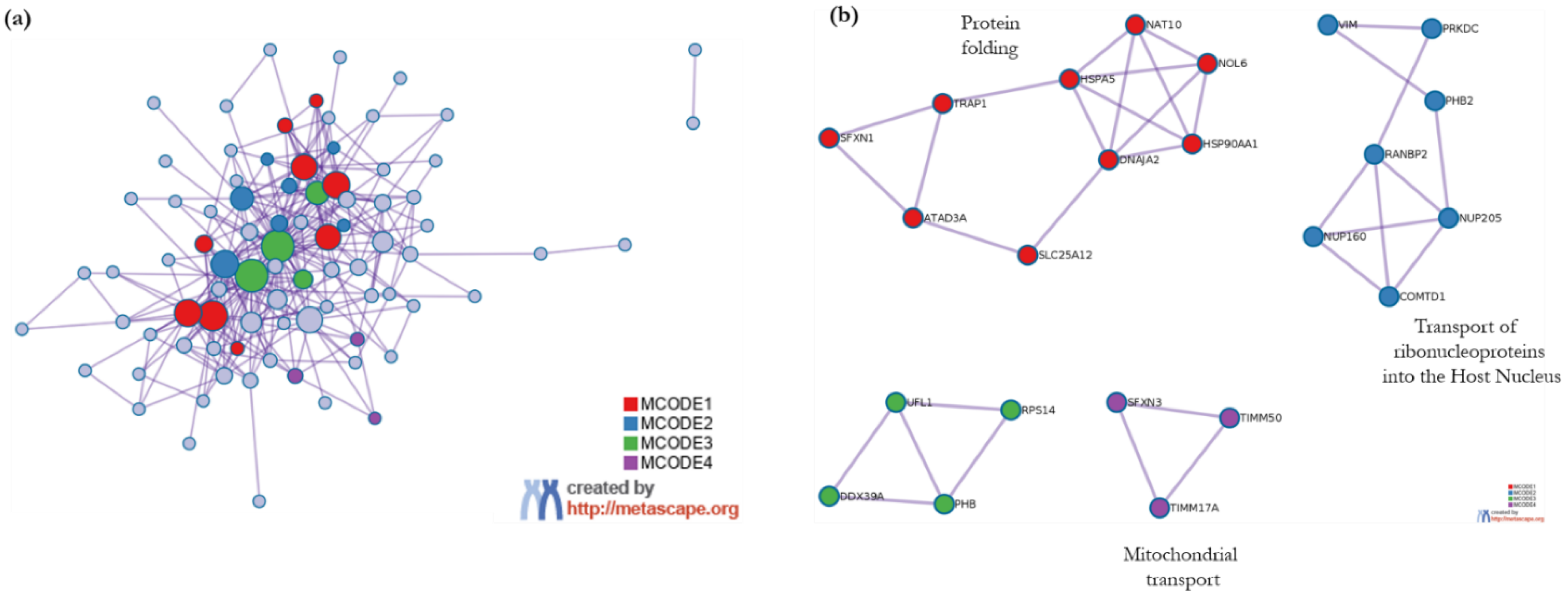 Biology 11 01298 g006