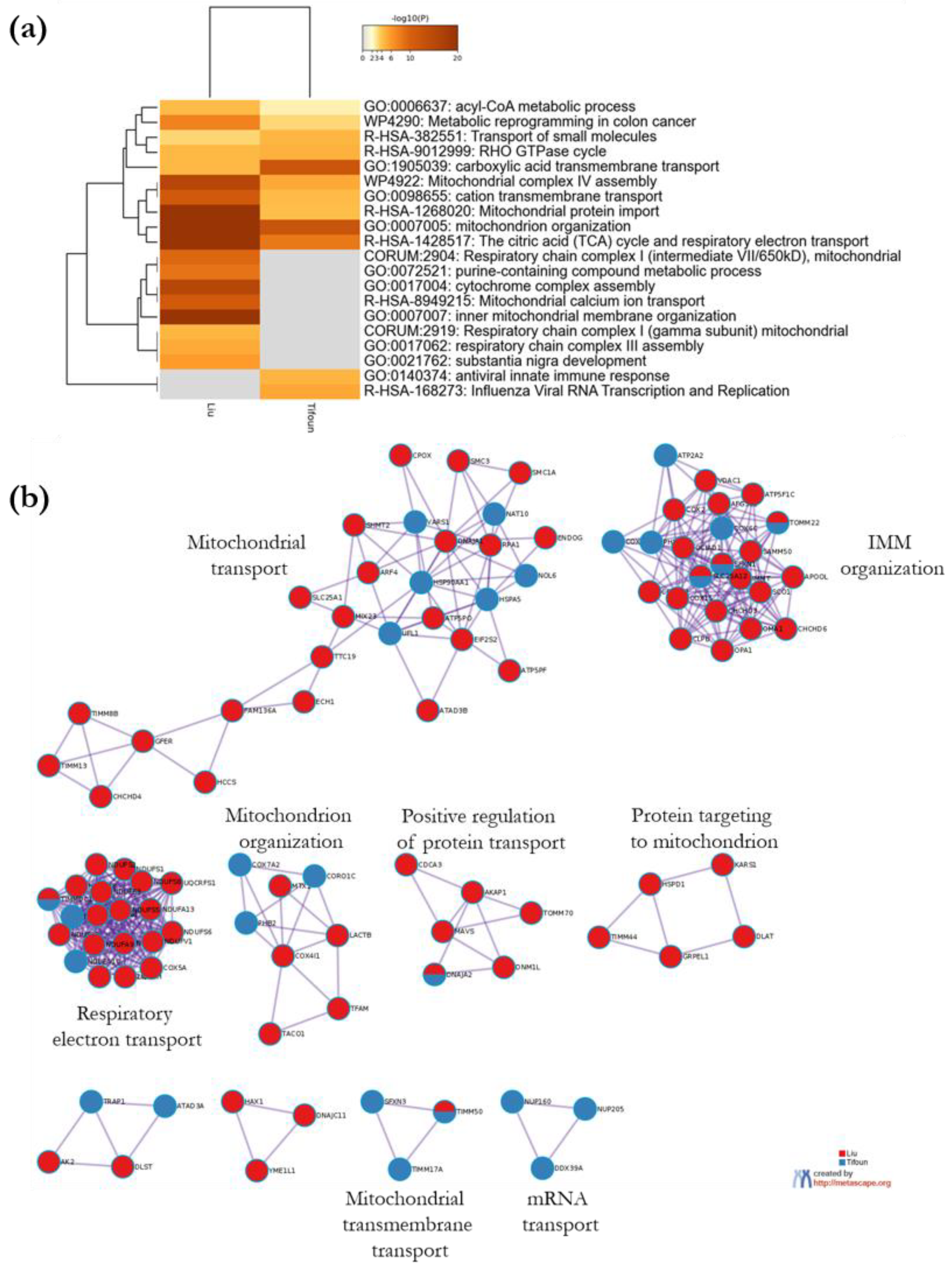 Biology 11 01298 g008