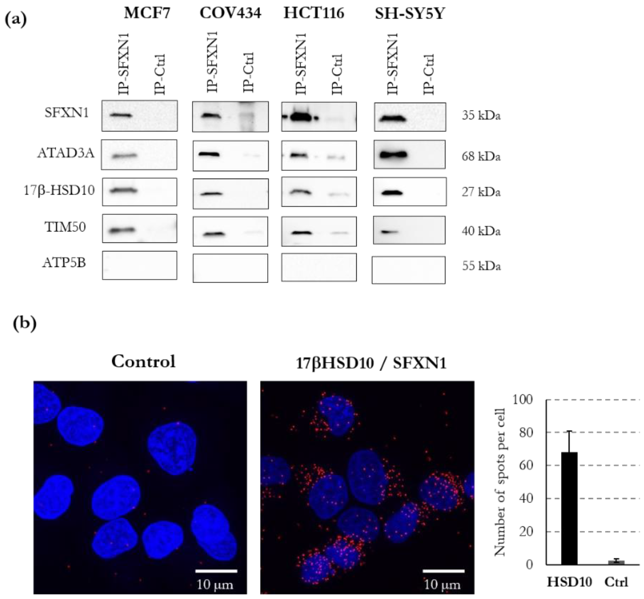 Biology 11 01298 g009