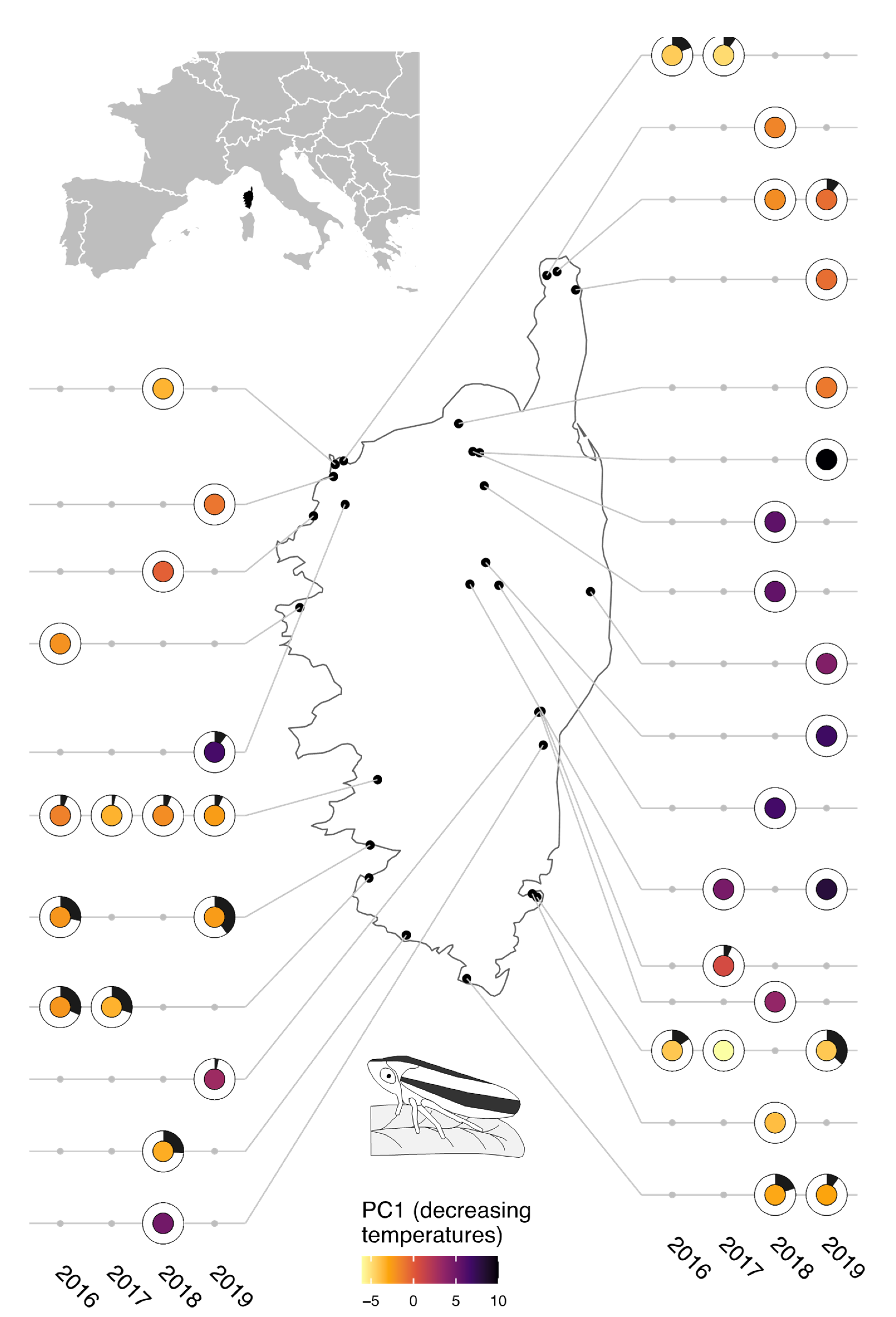 Biology 11 01299 g001