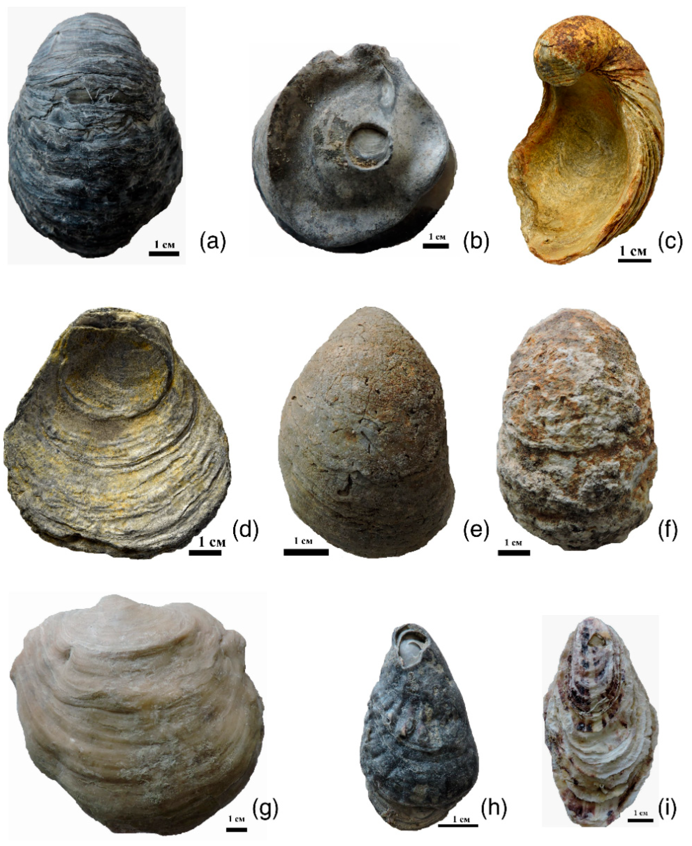 Biology 11 01300 g002 Biology 11 01300 g002