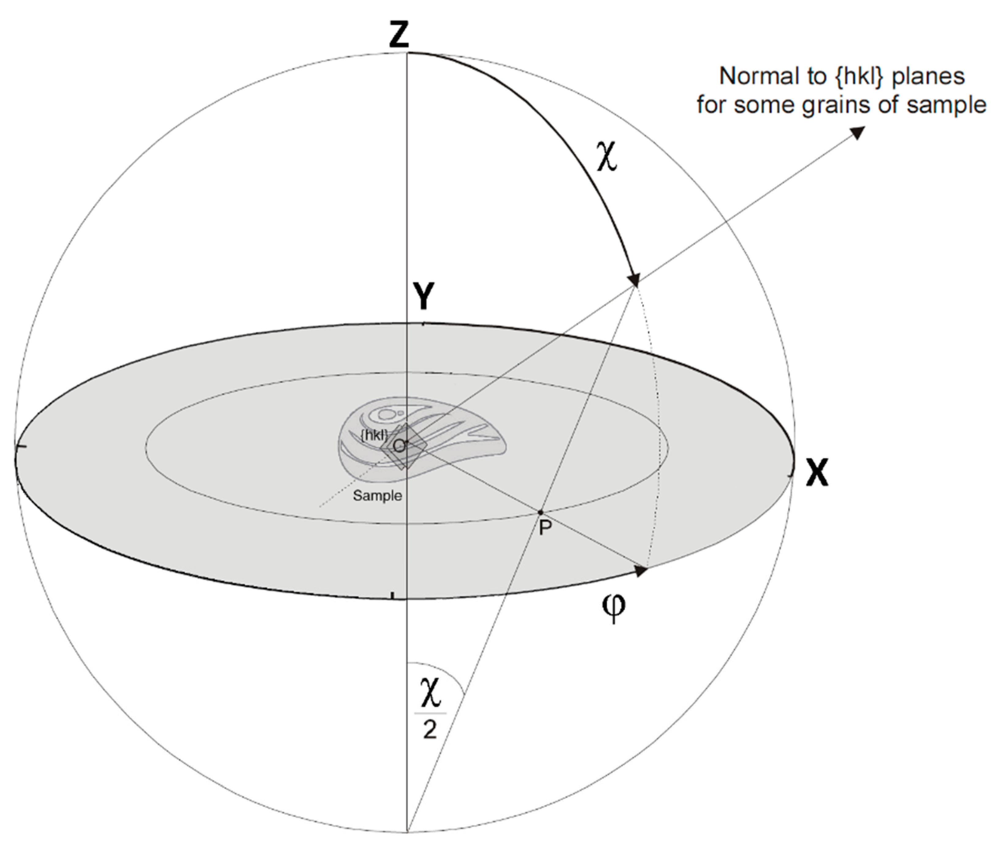 Biology 11 01300 g003 Biology 11 01300 g003