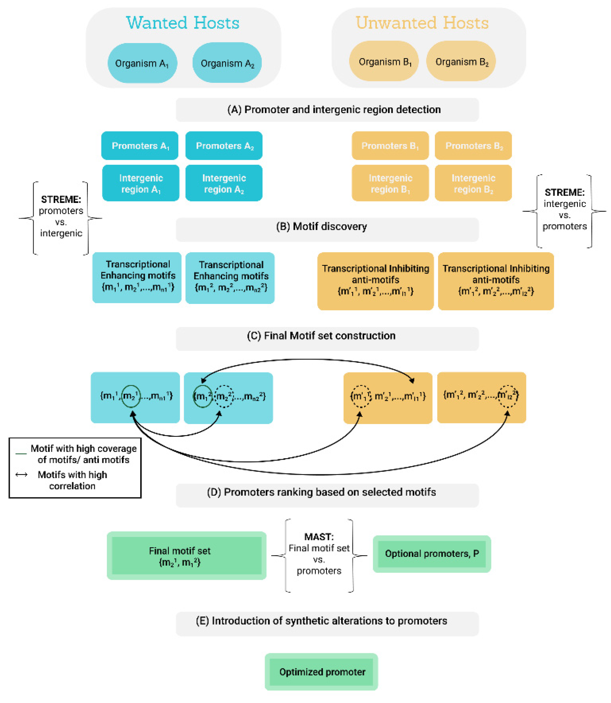 Biology 11 01301 g005