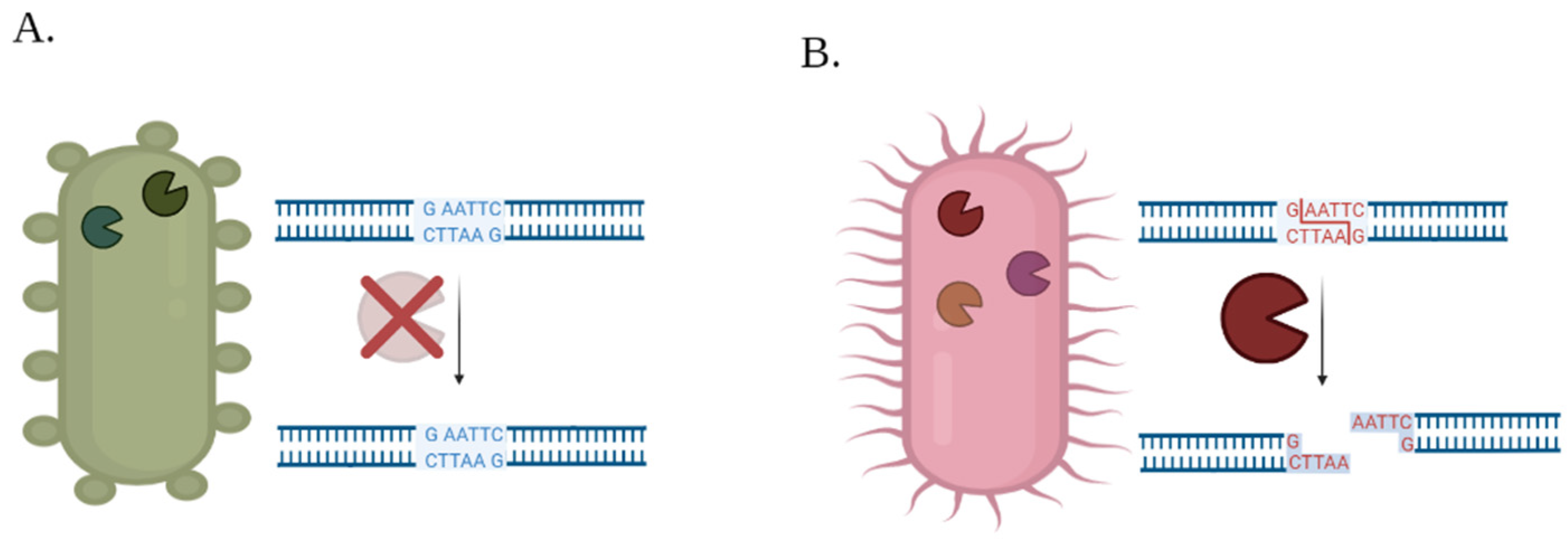 Biology 11 01301 g006