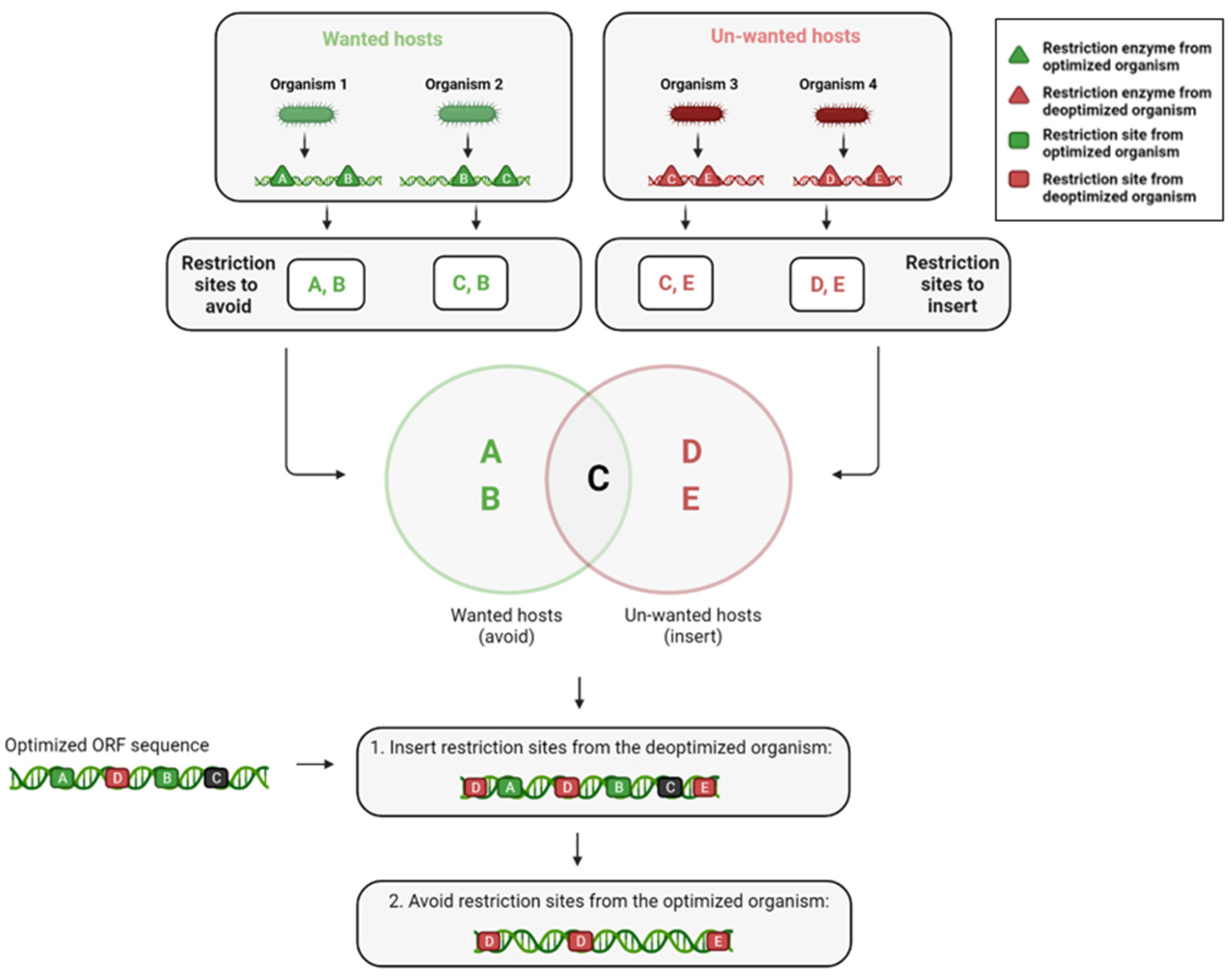 Biology 11 01301 g008