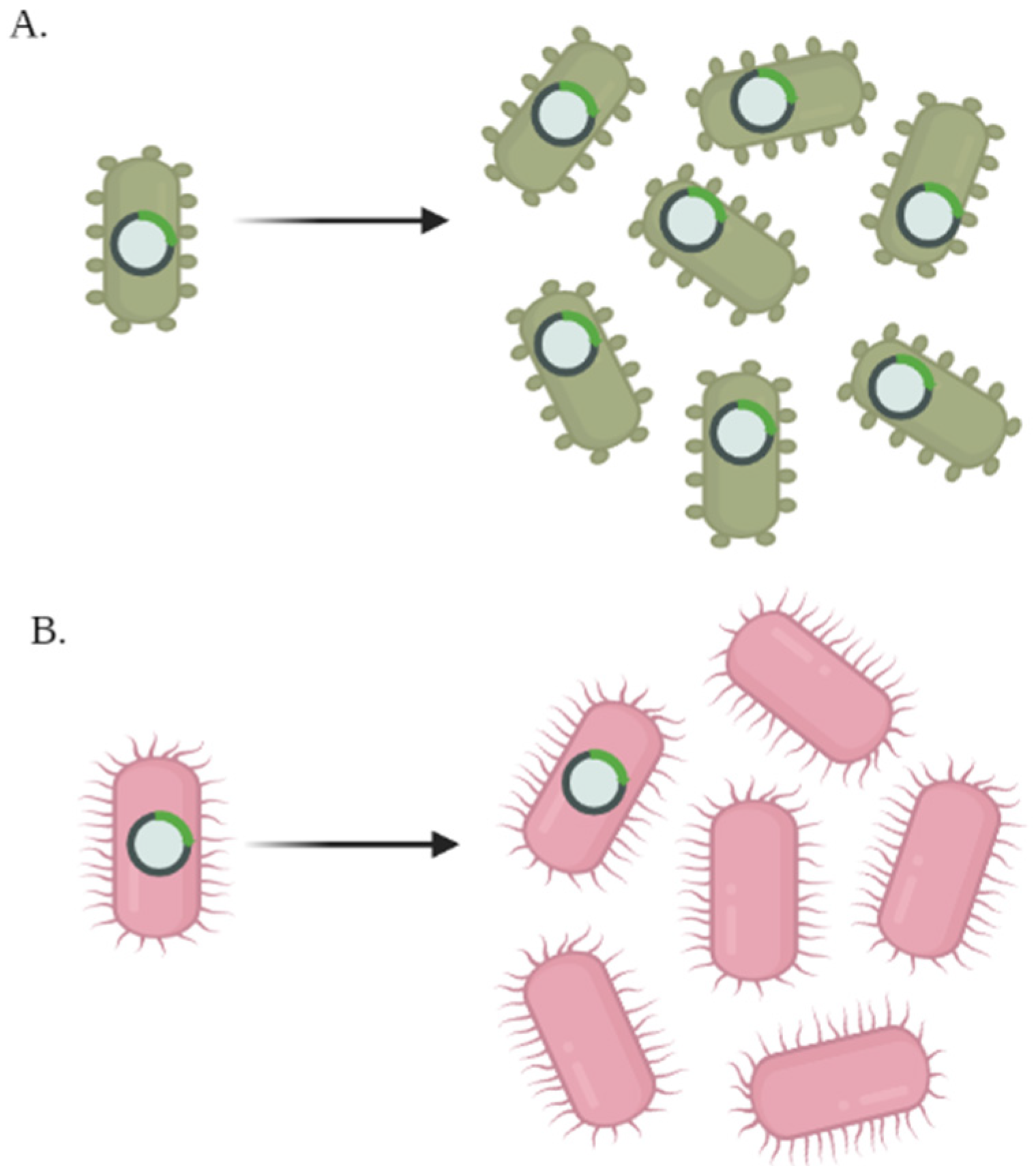 Biology 11 01301 g0a1