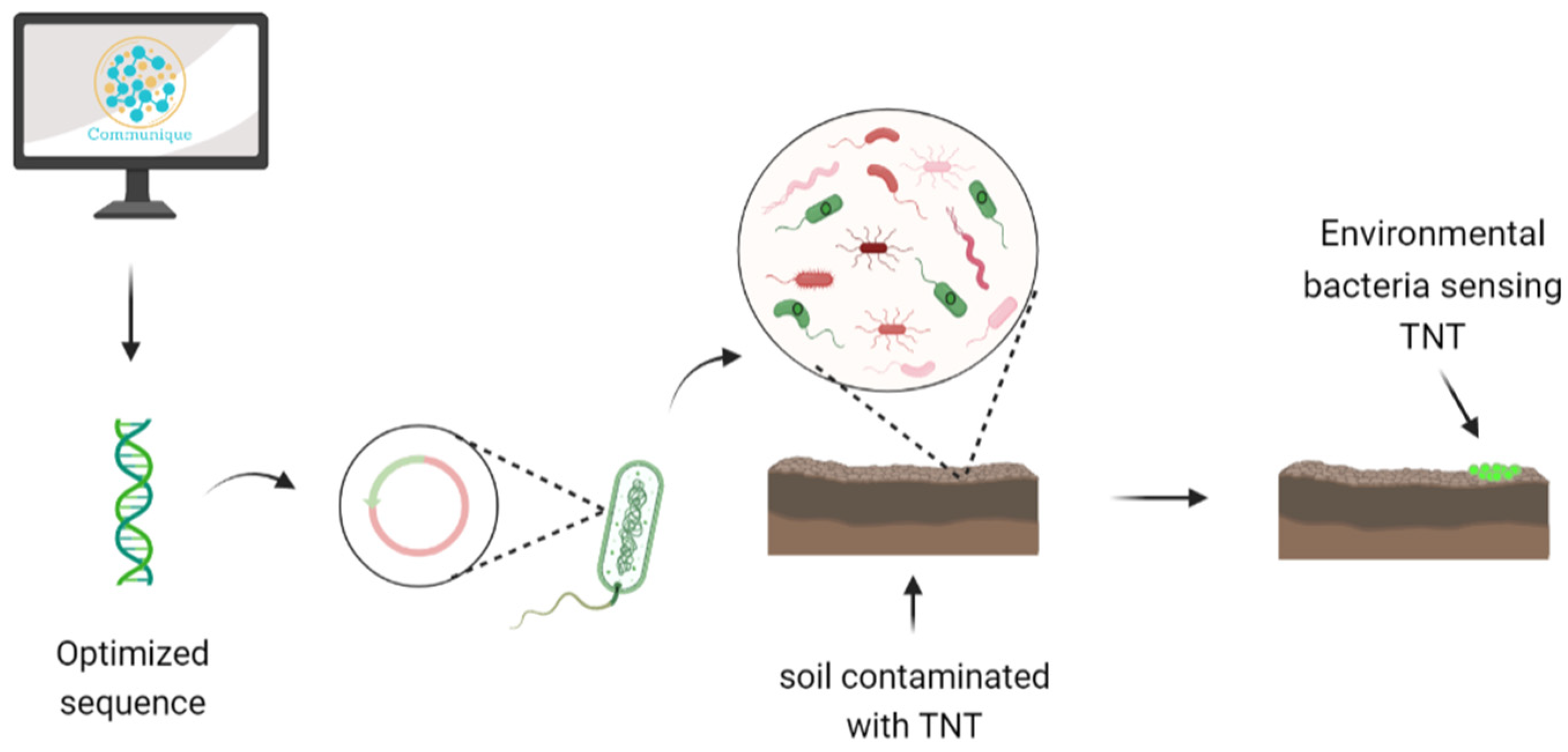 Biology 11 01301 g0a6