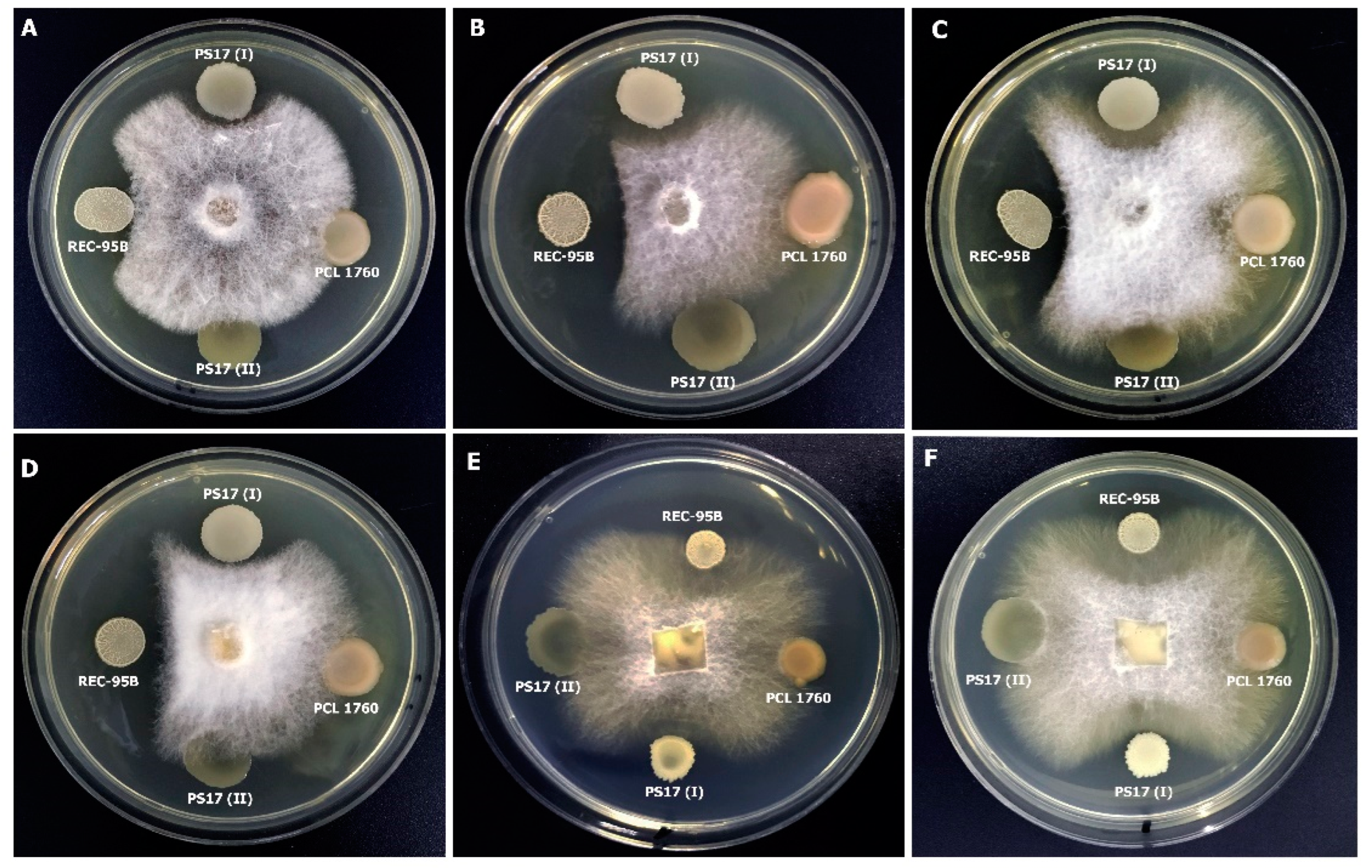 Biology 11 01305 g006