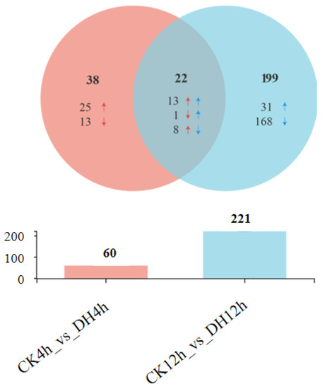 【M】 Transcriptional Dynamics Induced by Diapause Hormone in the
