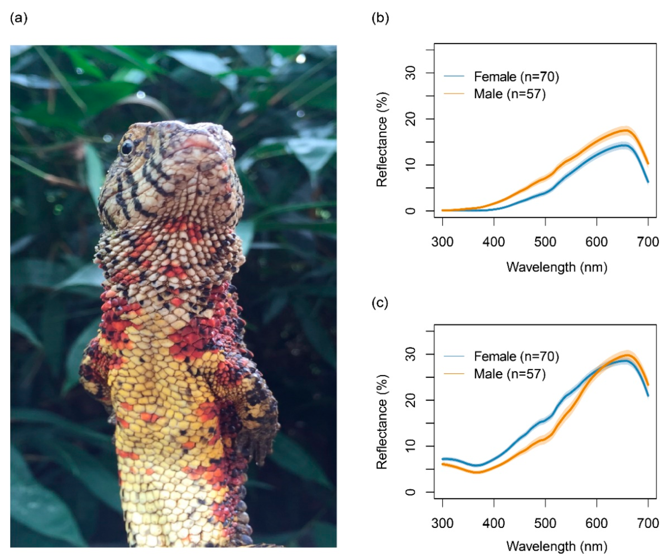 Biology 11 01314 g001 550