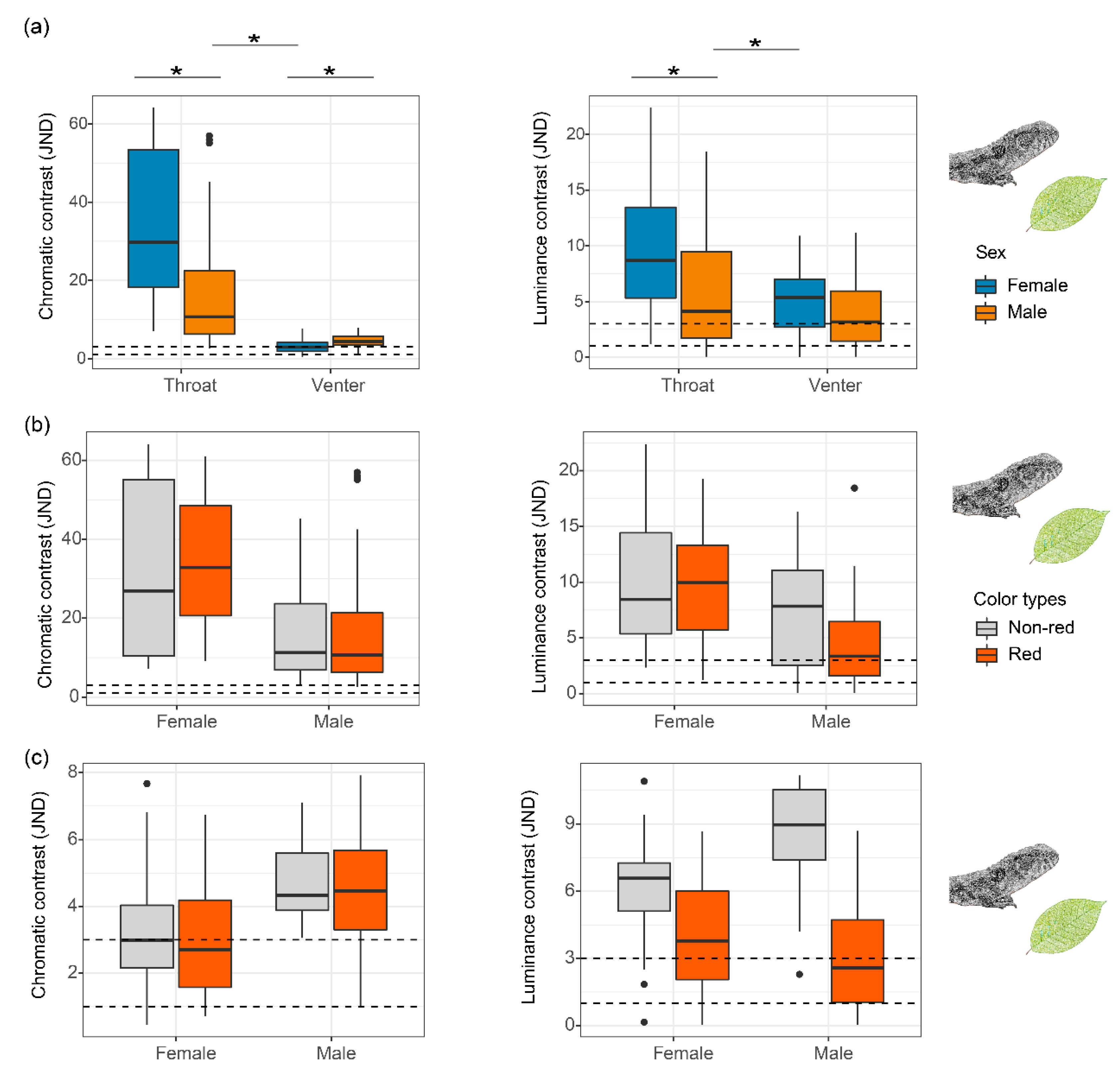Biology 11 01314 g004 550