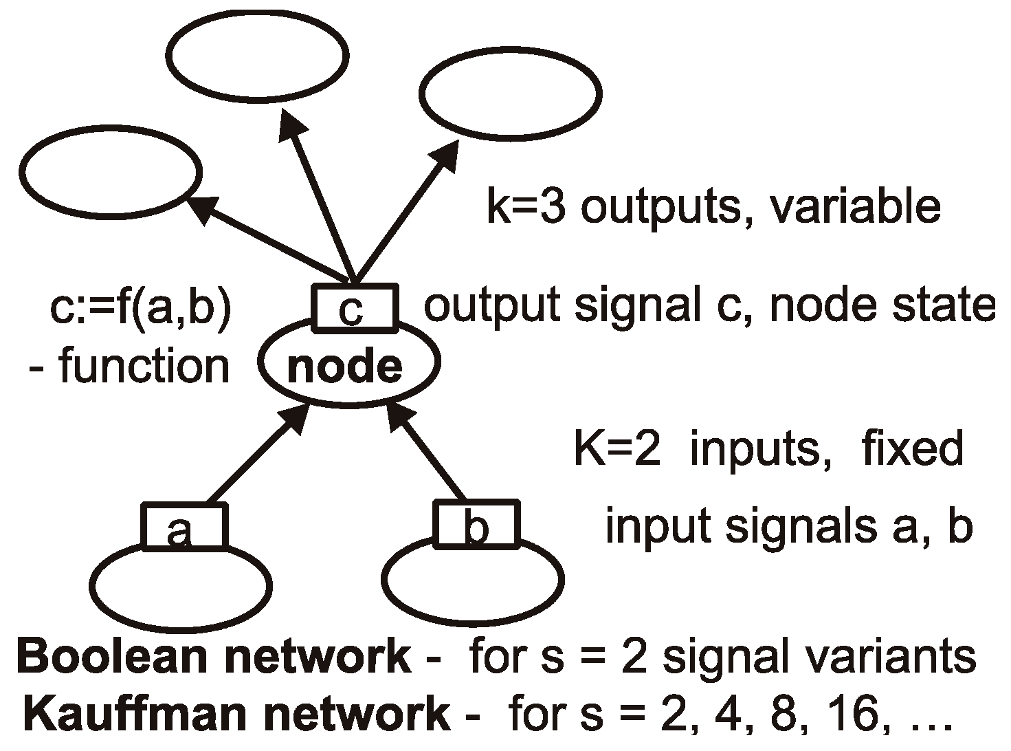 Biology 11 01317 g001 550