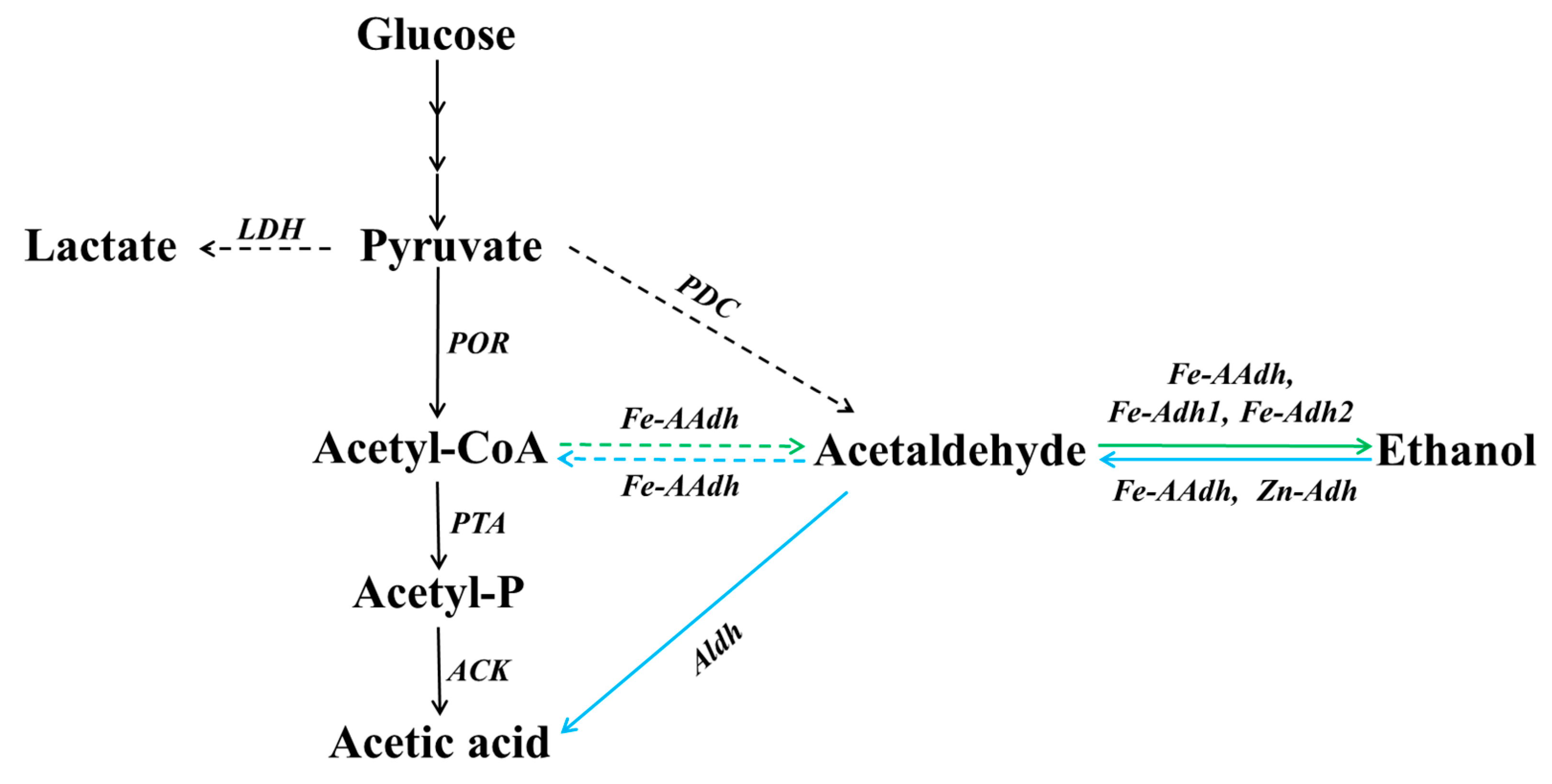 Biology 11 01318 g003 Biology 11 01318 g003