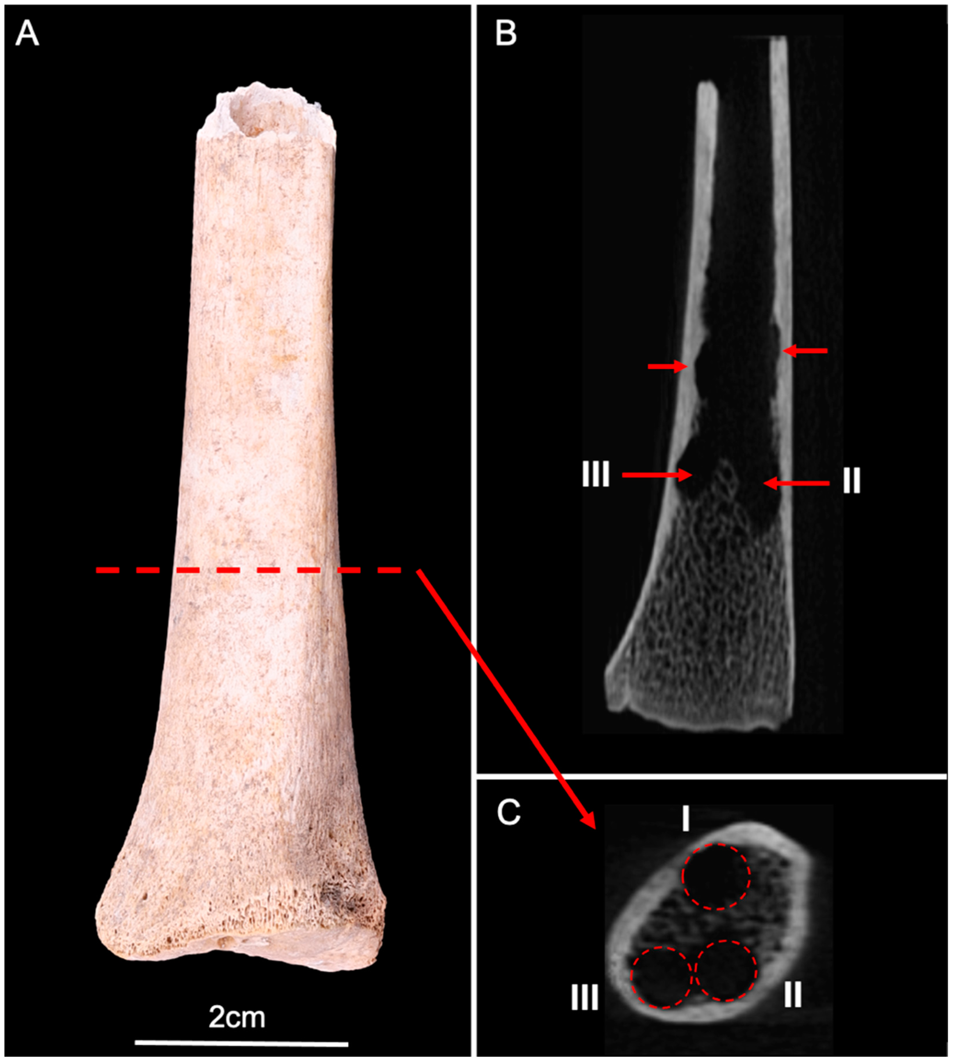 Biology 11 01321 g006 550