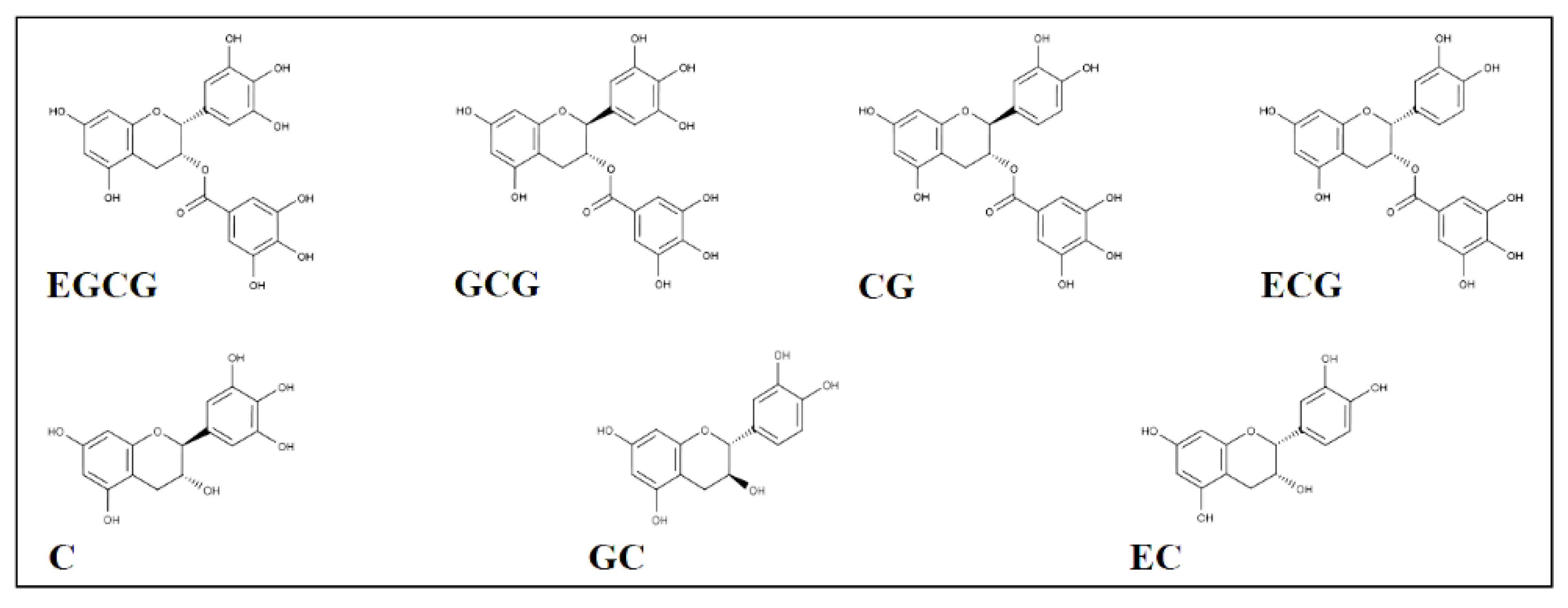 Biology 11 01324 g001 550