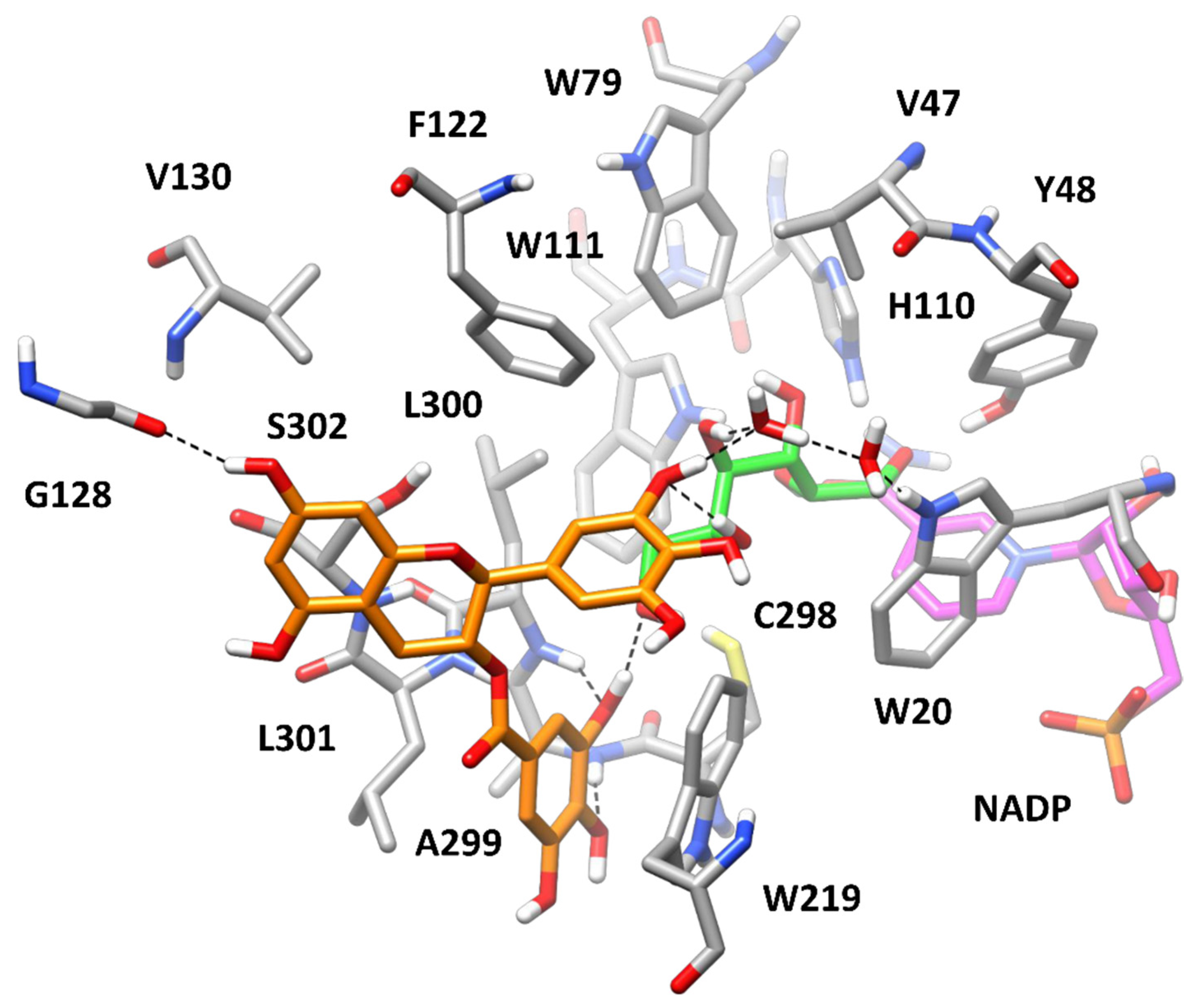 Biology 11 01324 g008 550