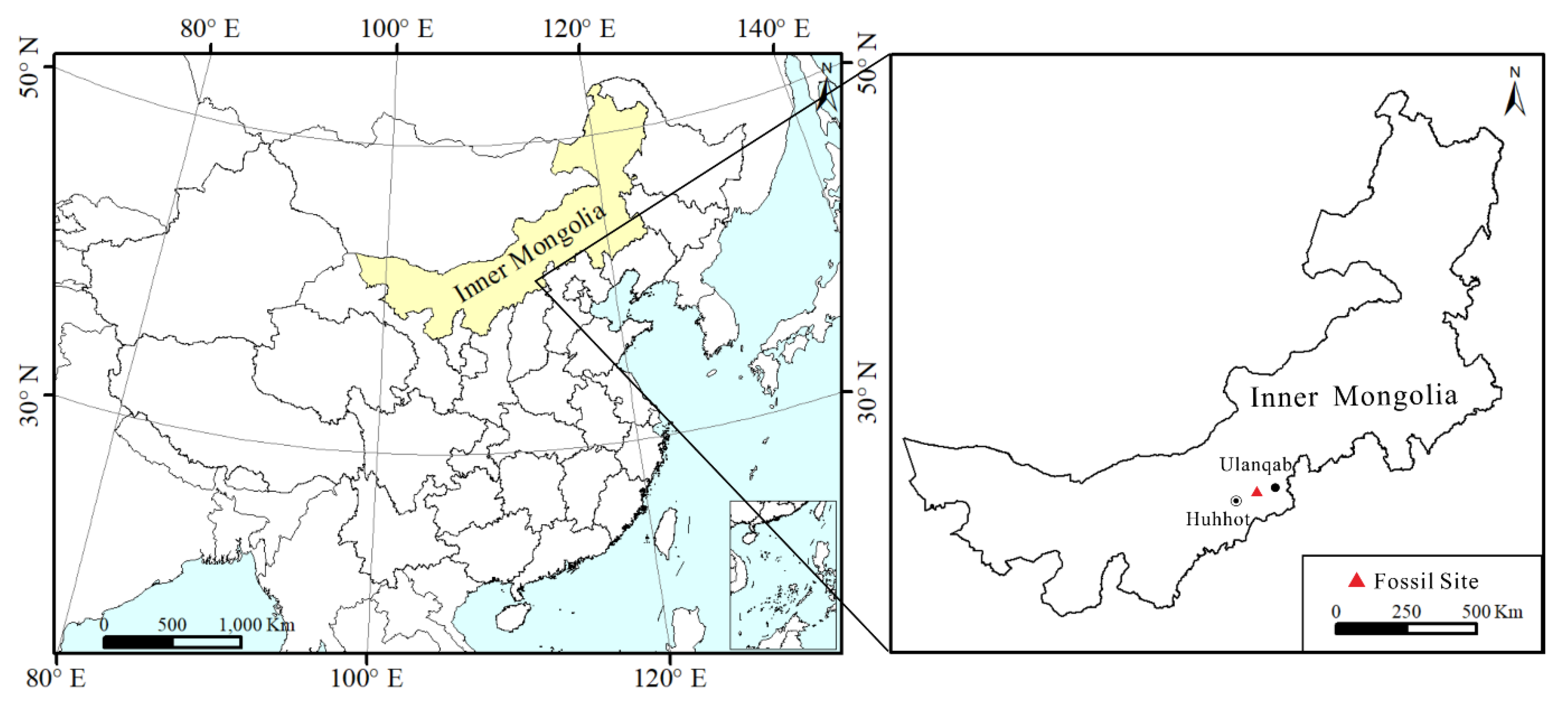 Biology 11 01326 g001