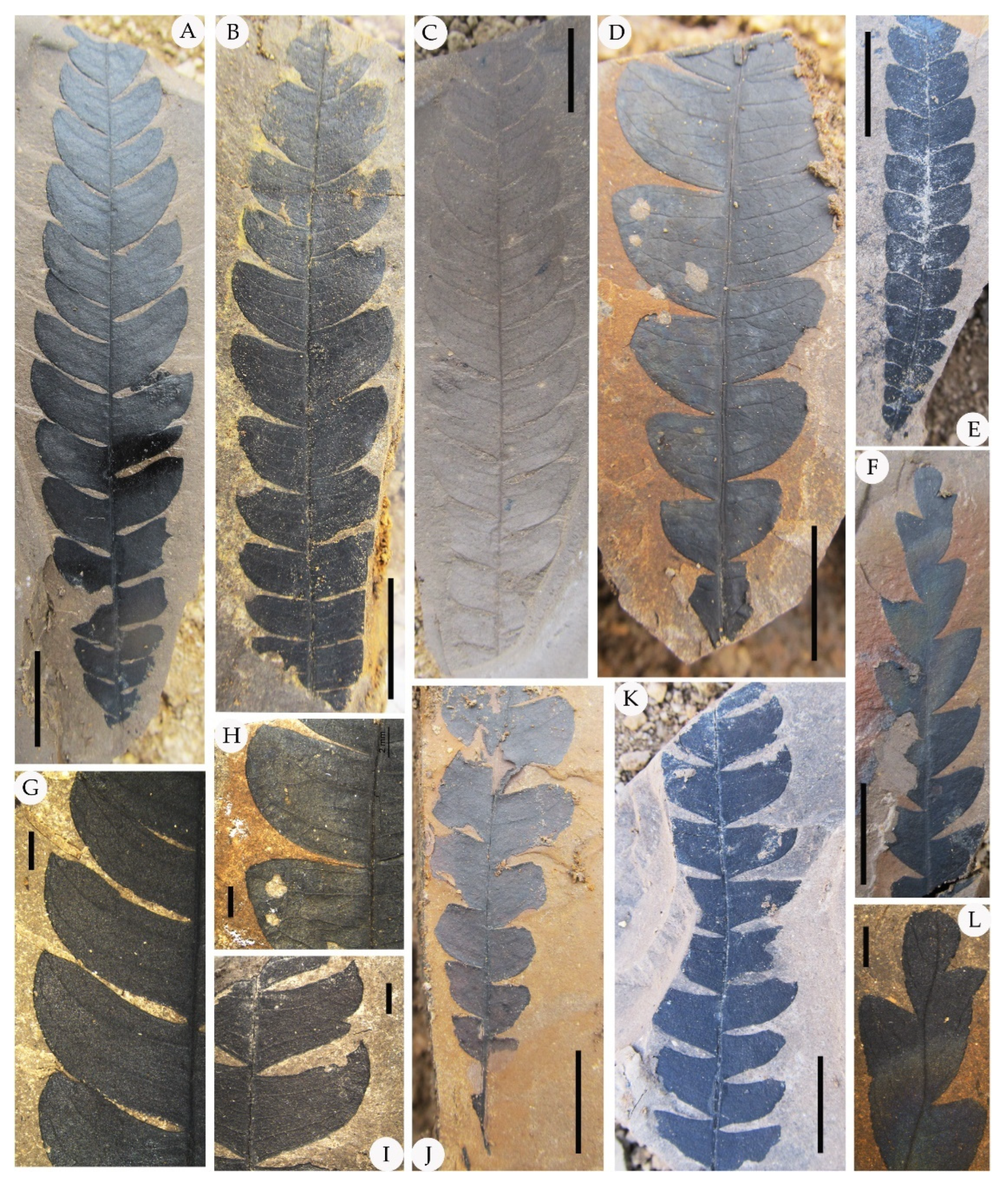 Biology 11 01326 g002