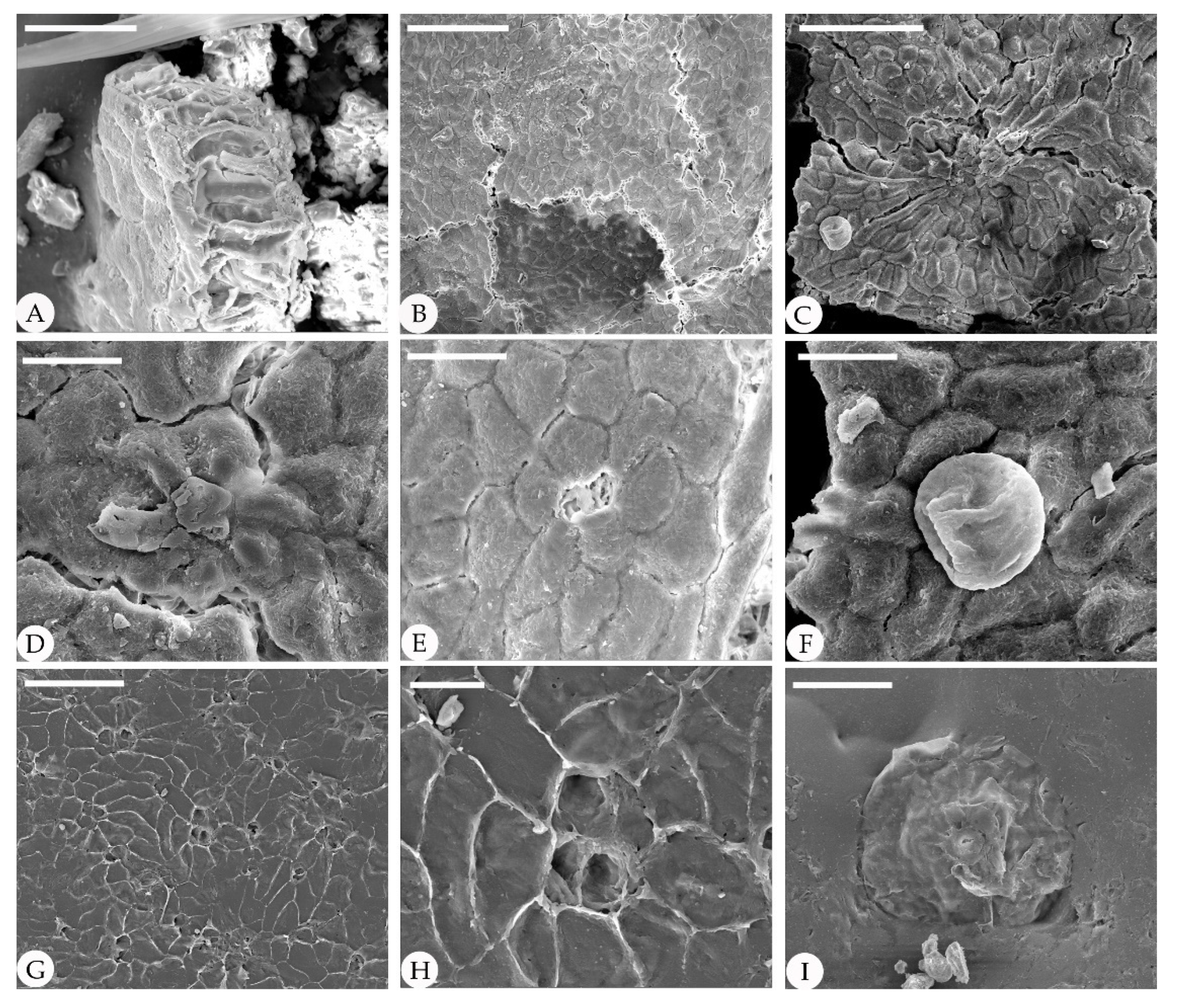 Biology 11 01326 g005