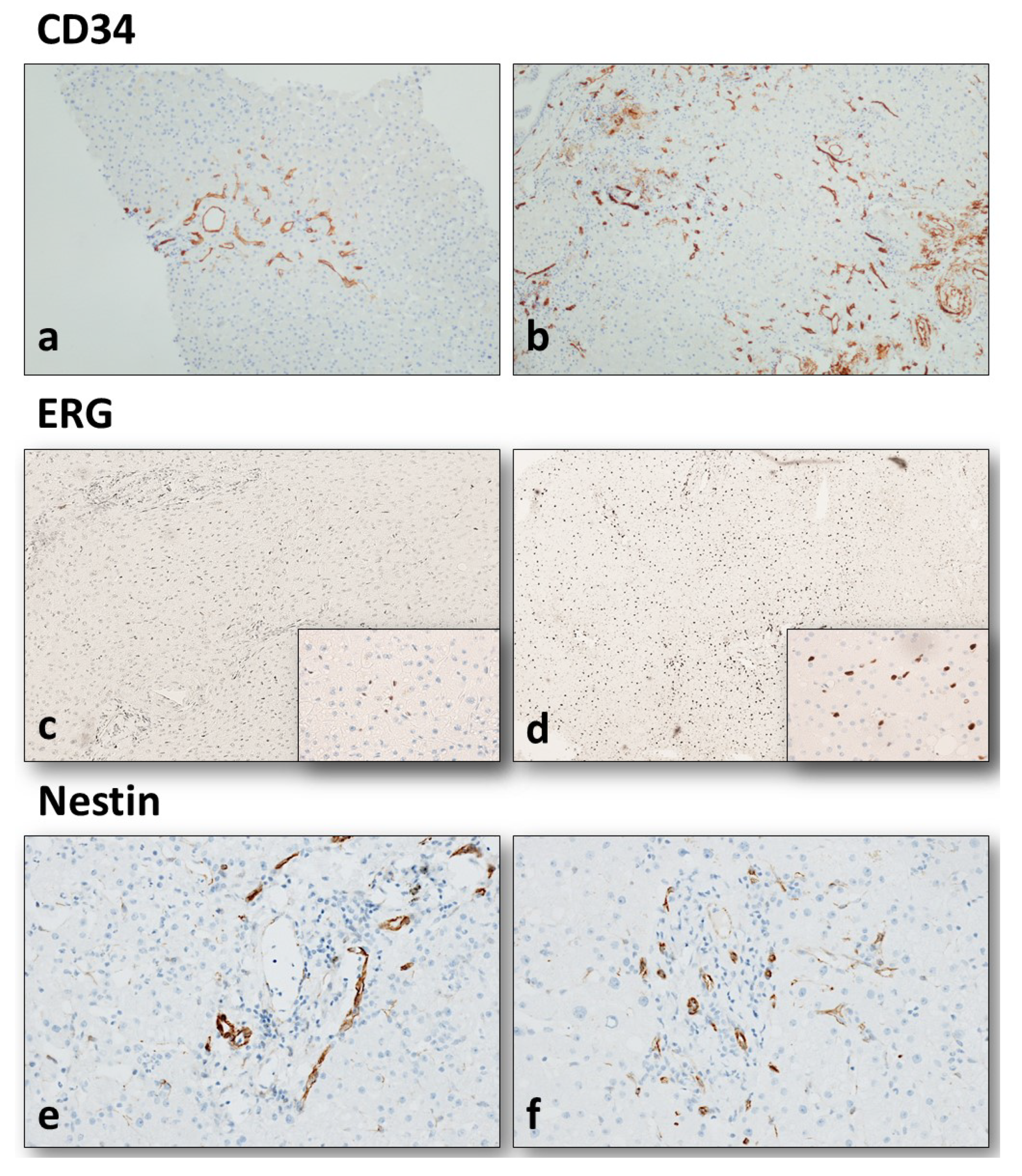 Biology 11 01329 g001