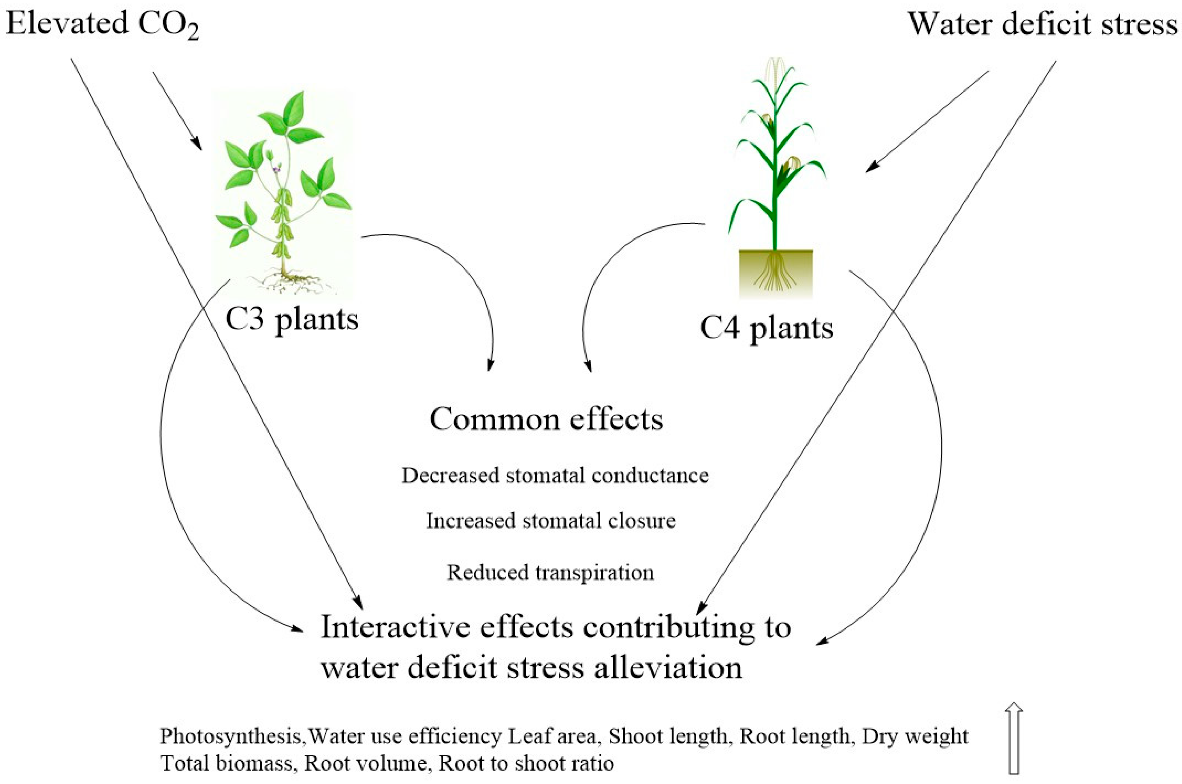 Biology 11 01330 g002