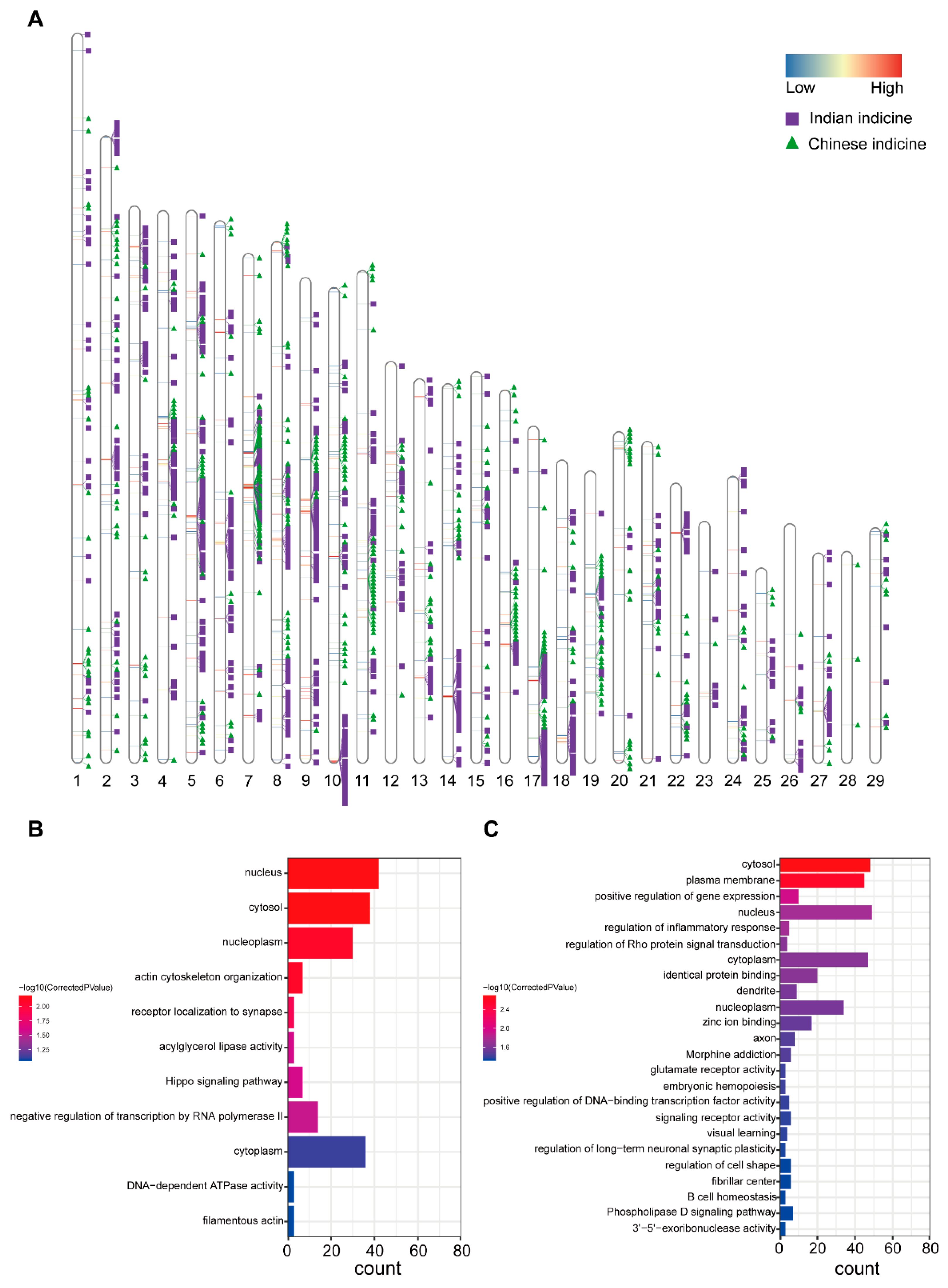 Biology 11 01331 g003