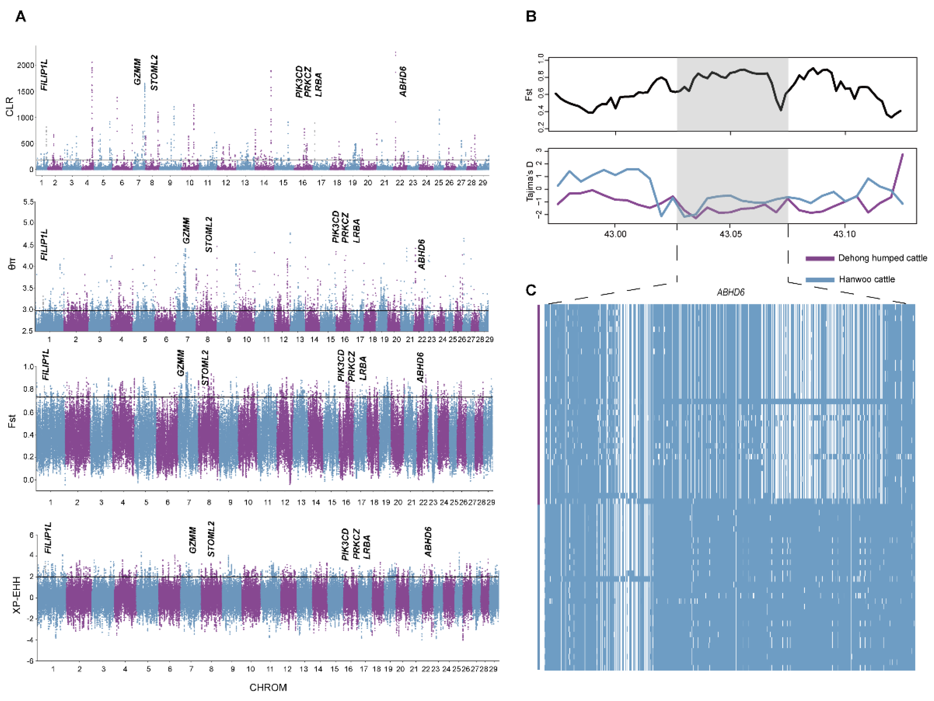 Biology 11 01331 g004