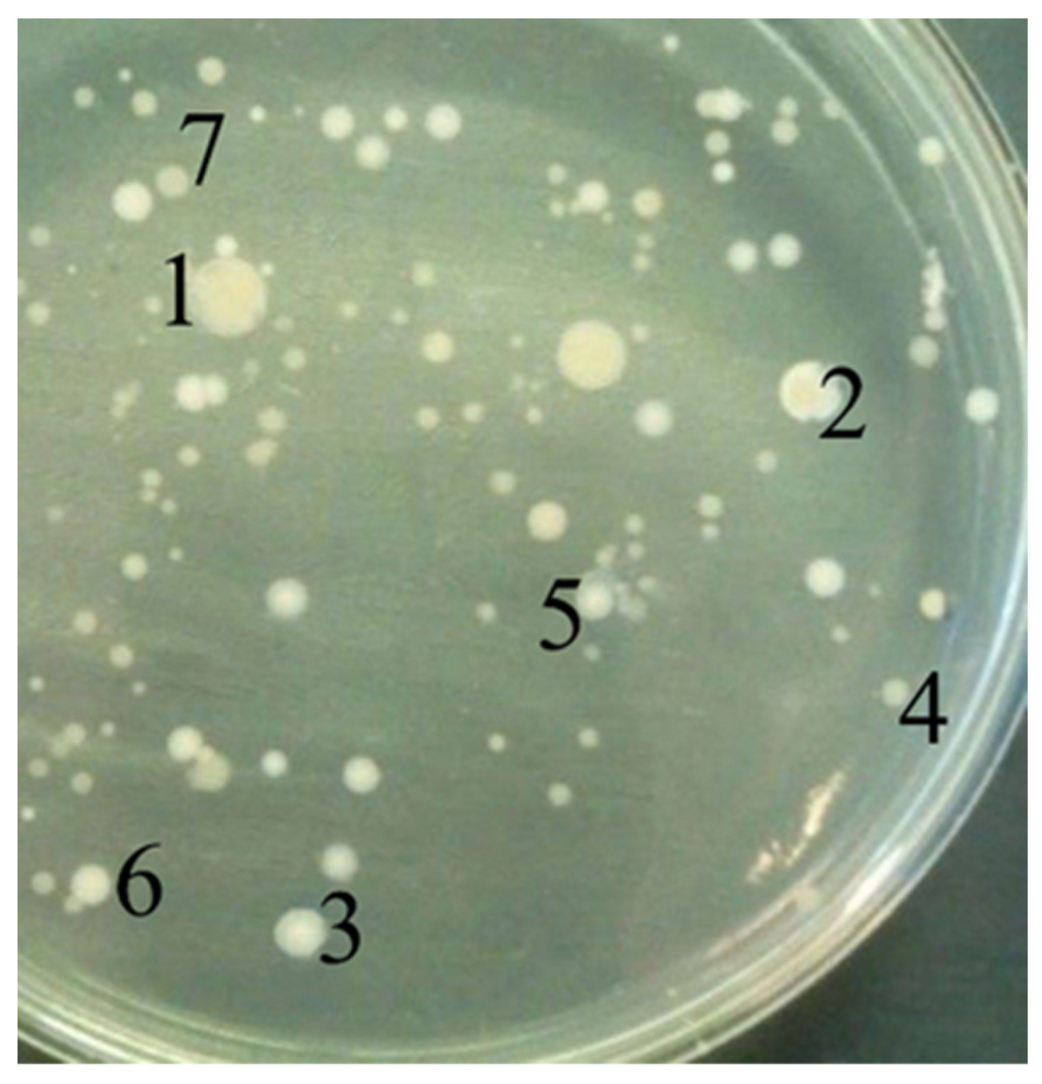 Biology 11 01332 g001