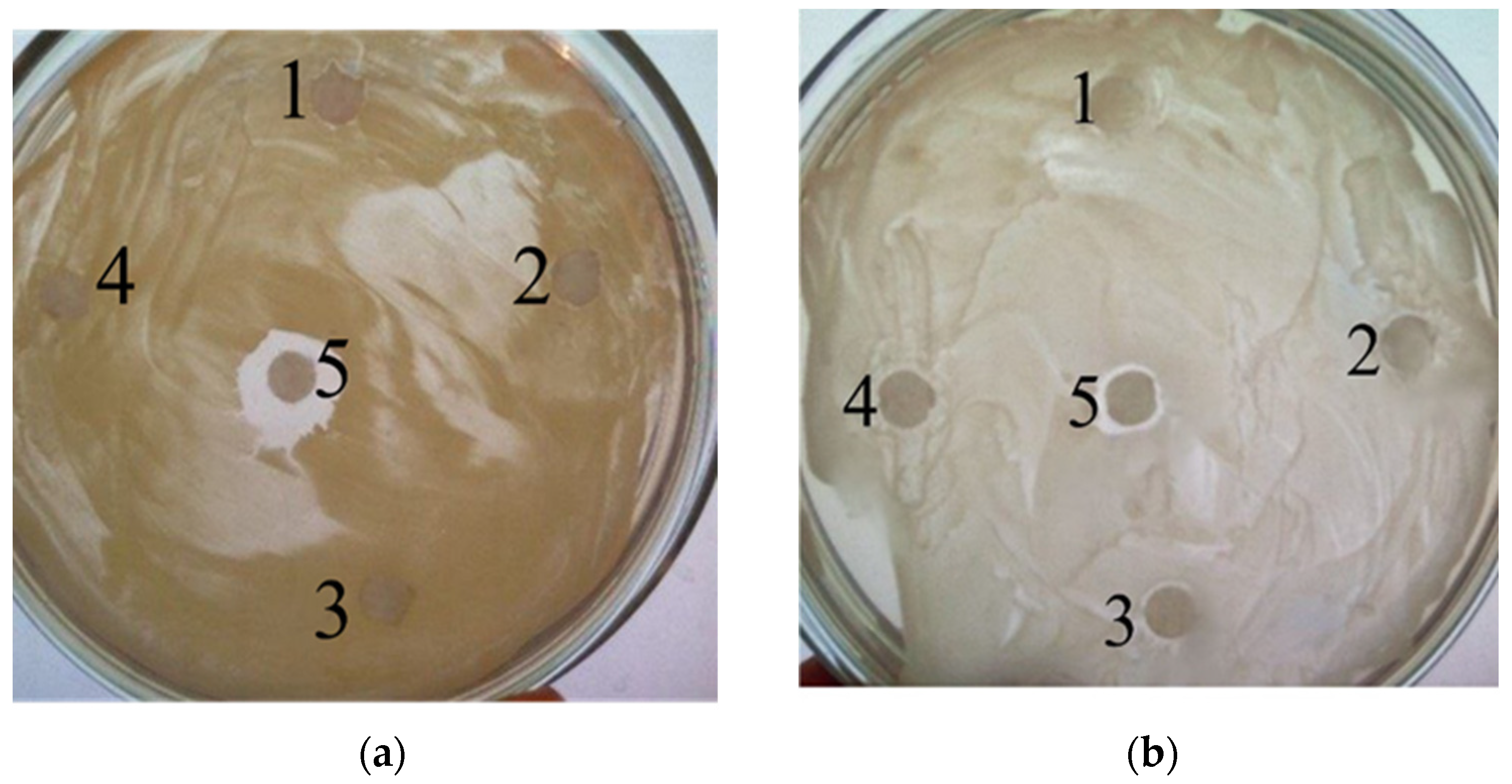 Biology 11 01332 g003