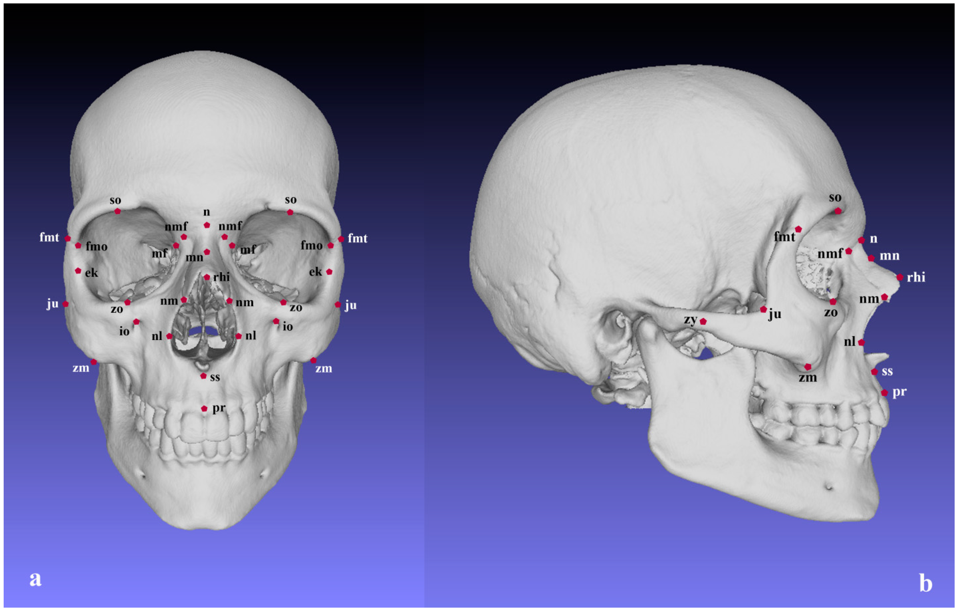Biology 11 01333 g001 Biology 11 01333 g001