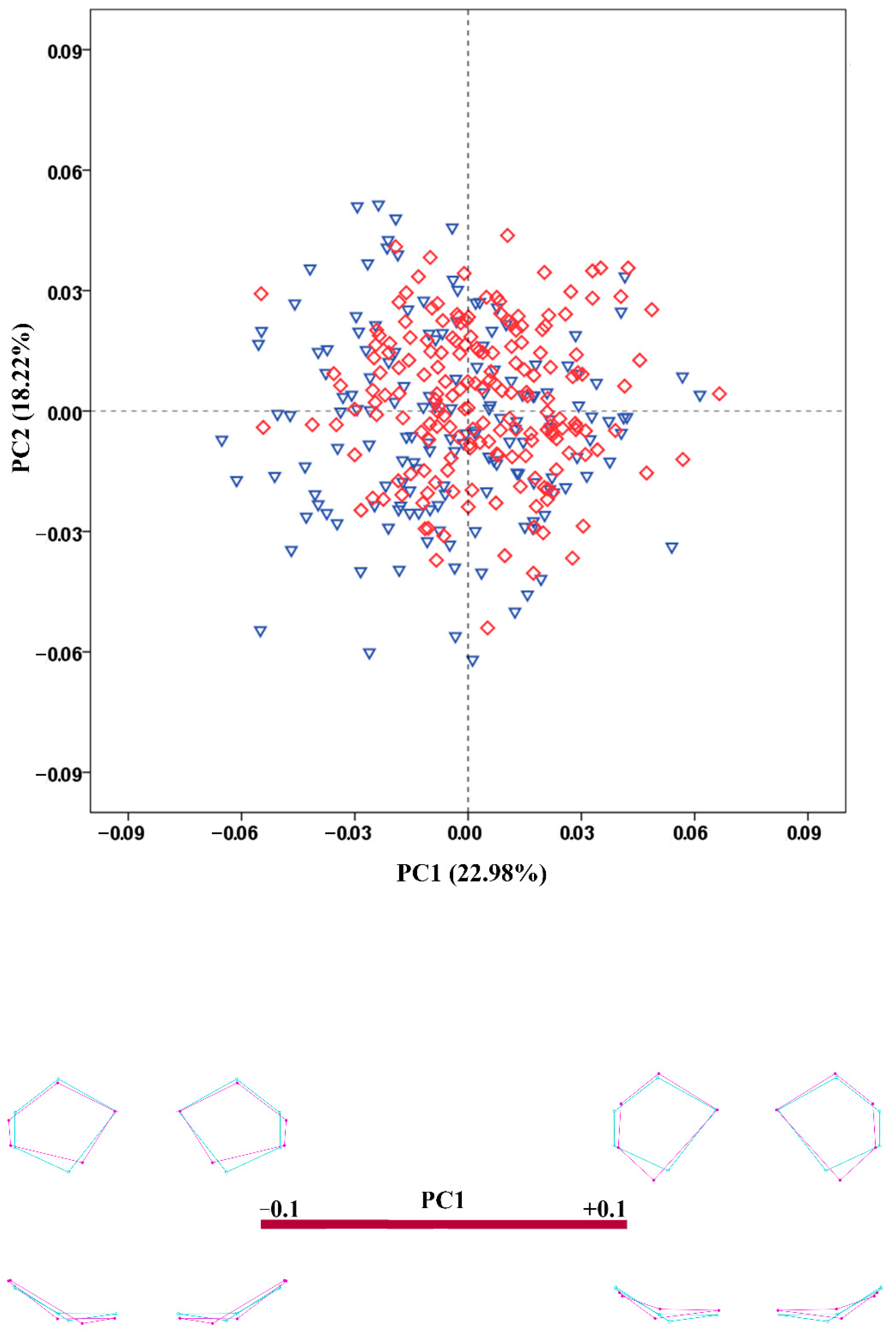 Biology 11 01333 g004 Biology 11 01333 g004