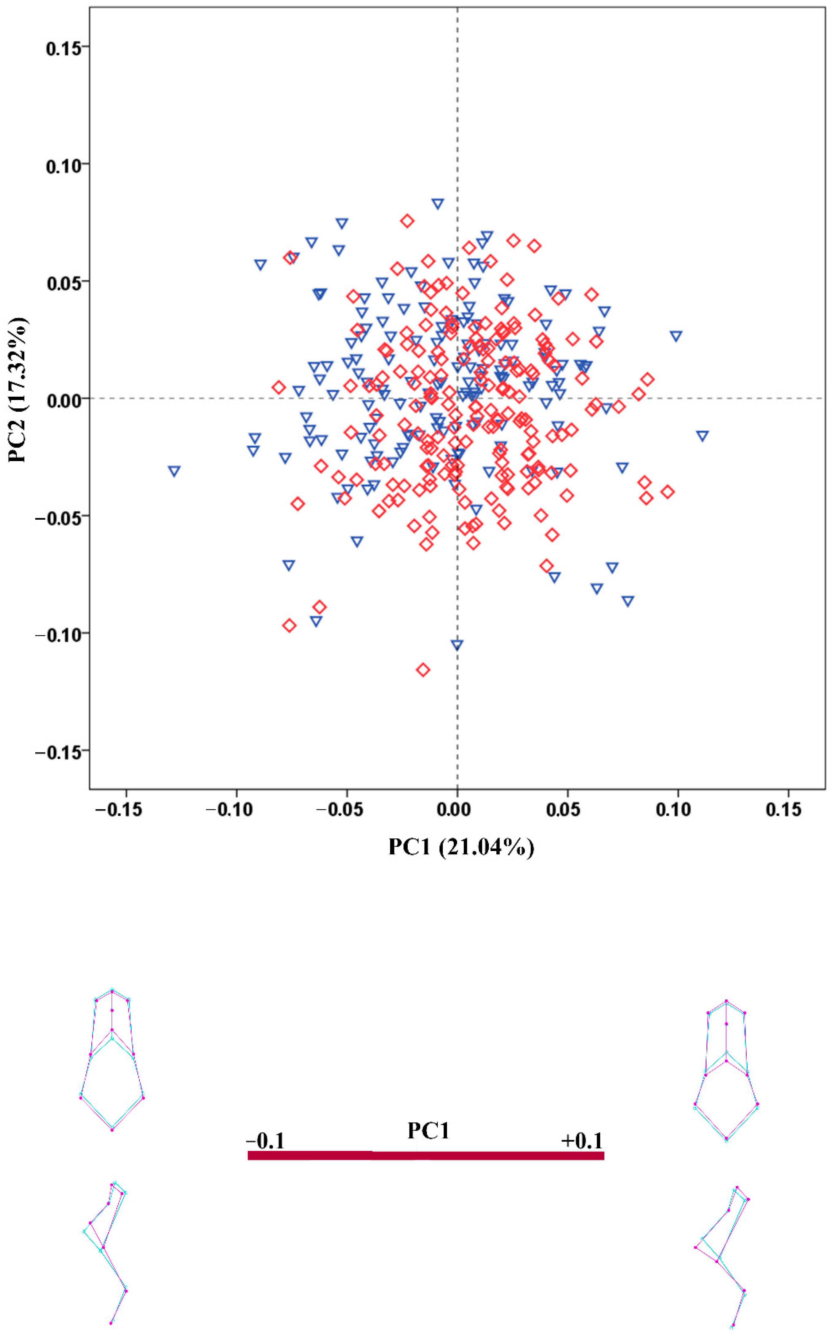 Biology 11 01333 g005 Biology 11 01333 g005