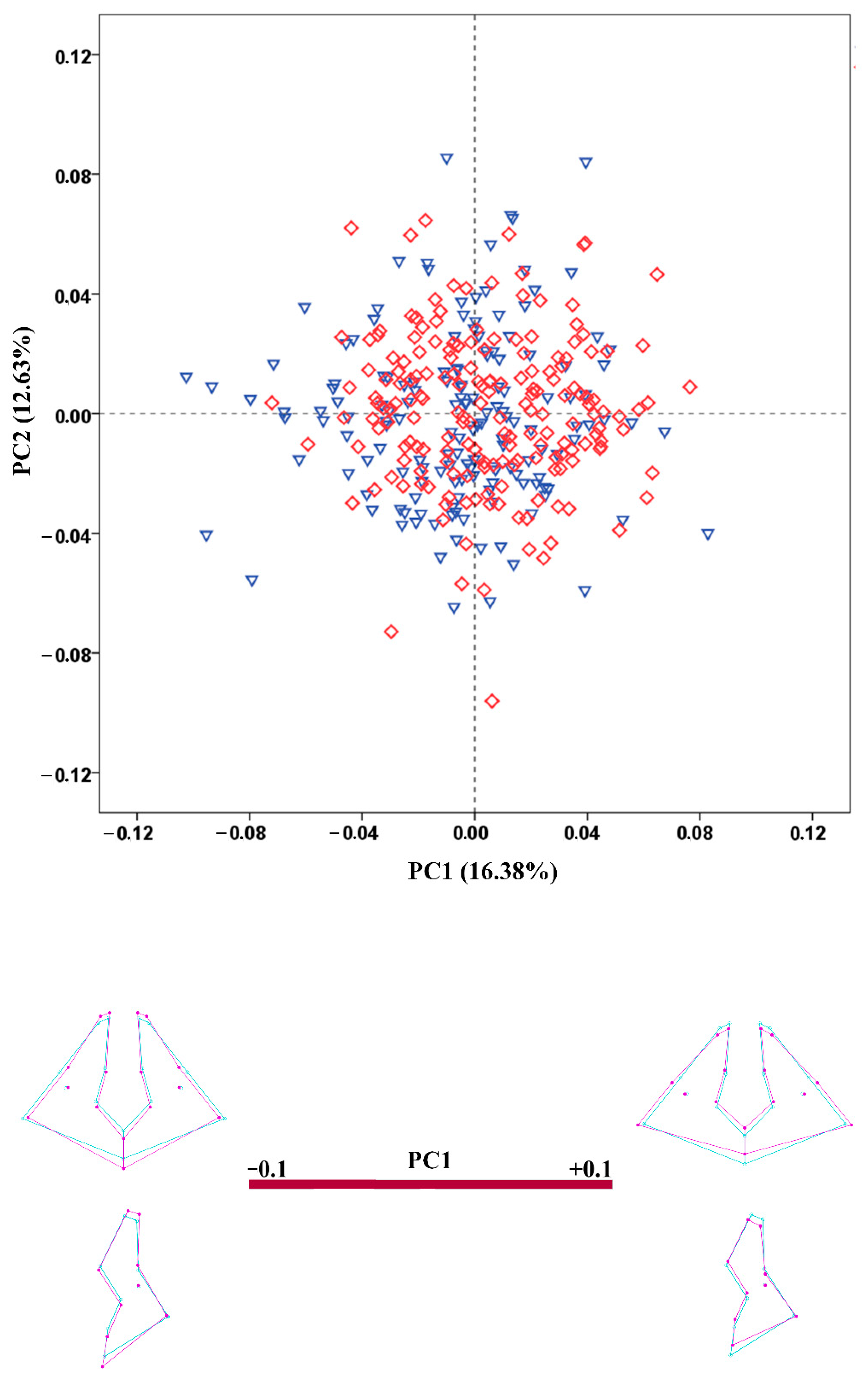 Biology 11 01333 g006 Biology 11 01333 g006