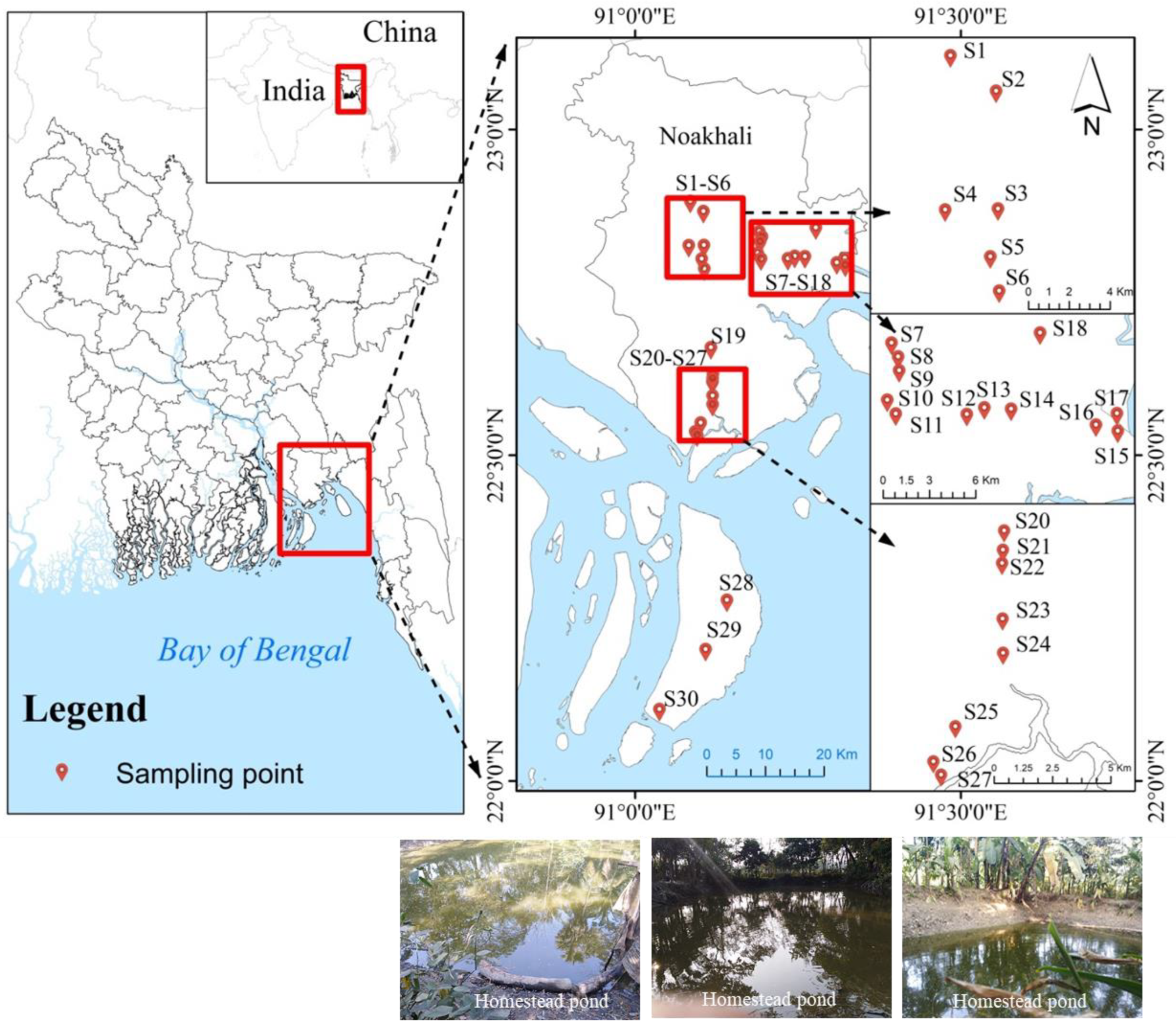 Biology 11 01335 g001 Biology 11 01335 g001
