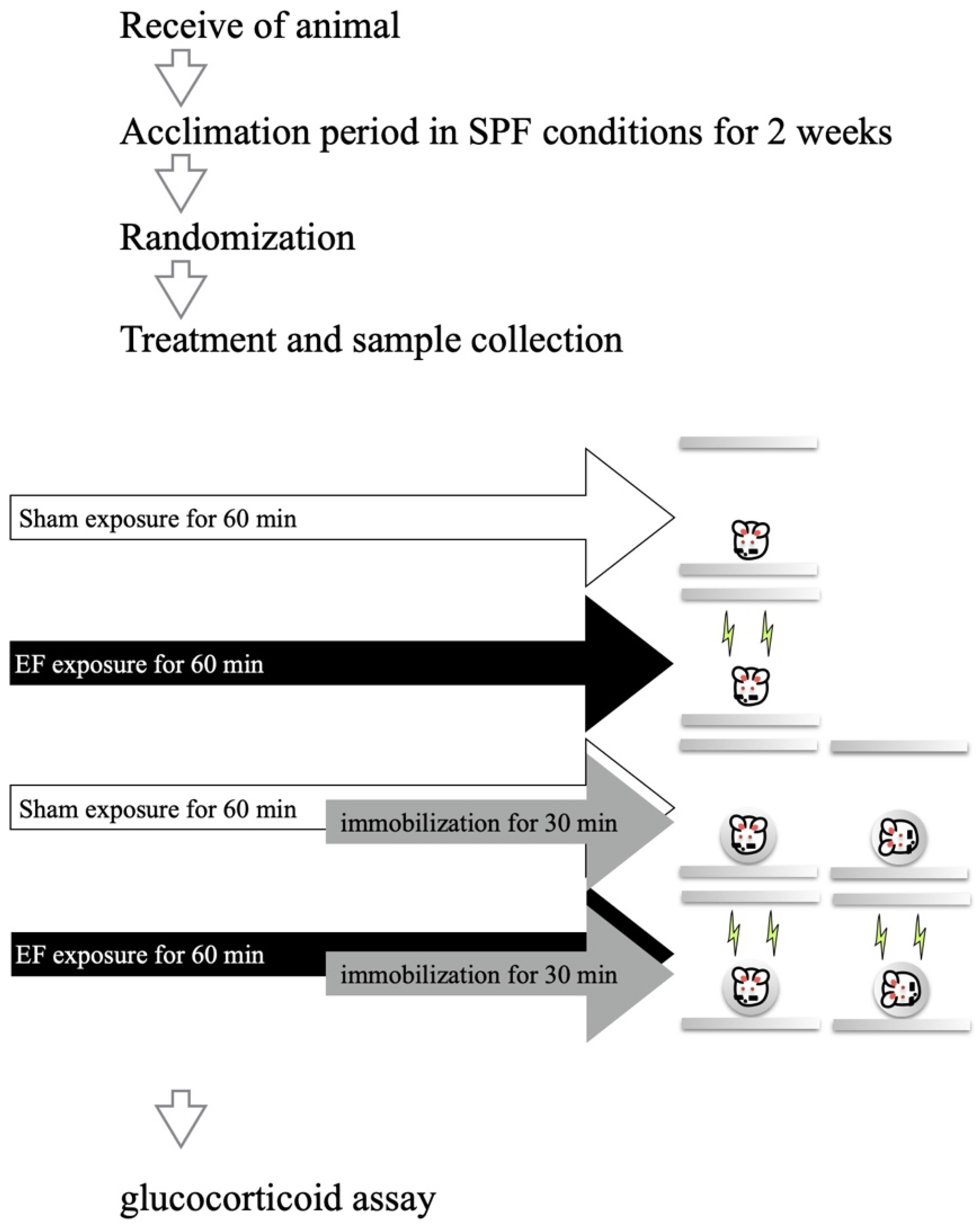 Biology 11 01336 g002 Biology 11 01336 g002