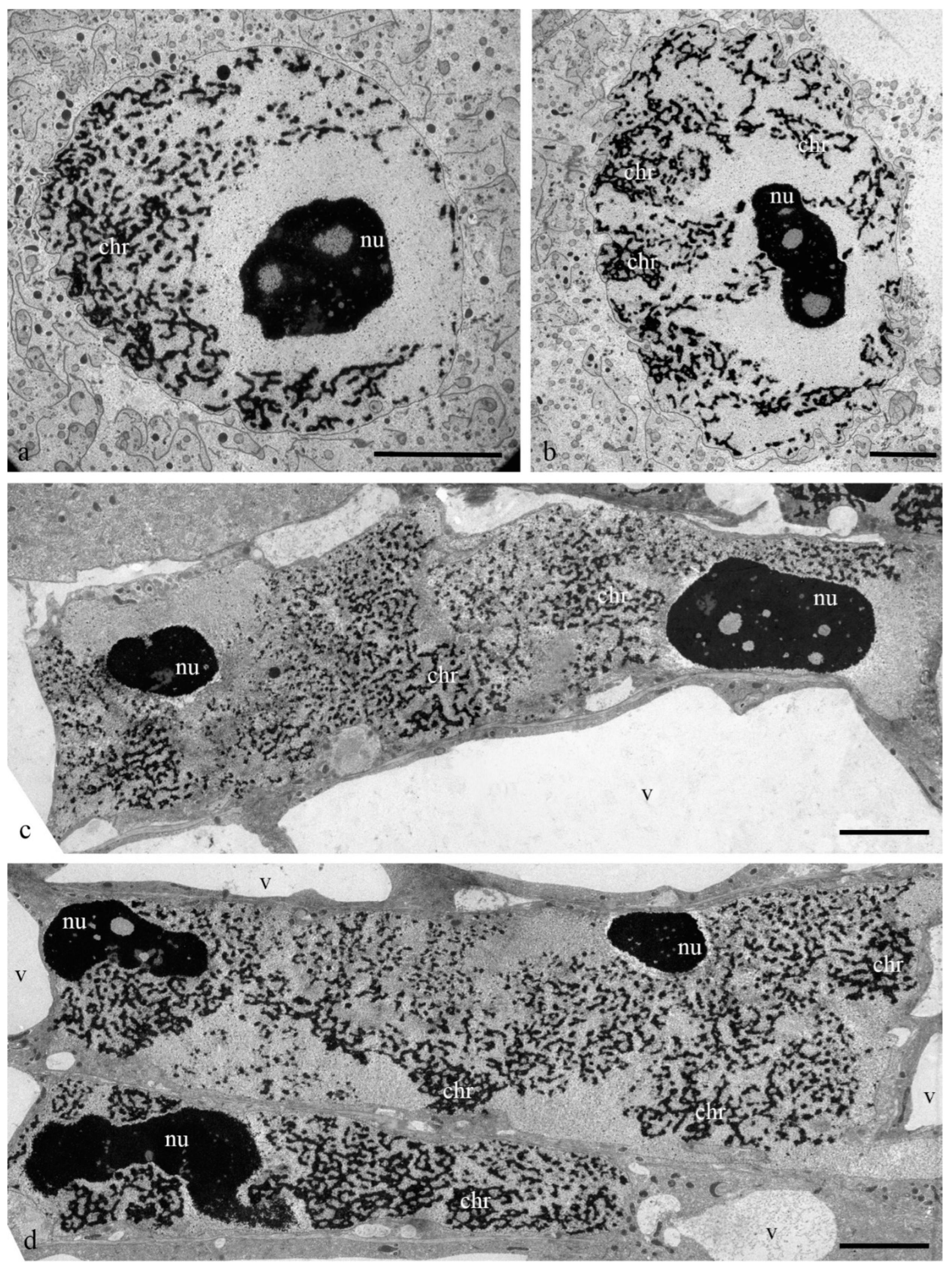 Biology 11 01340 g003