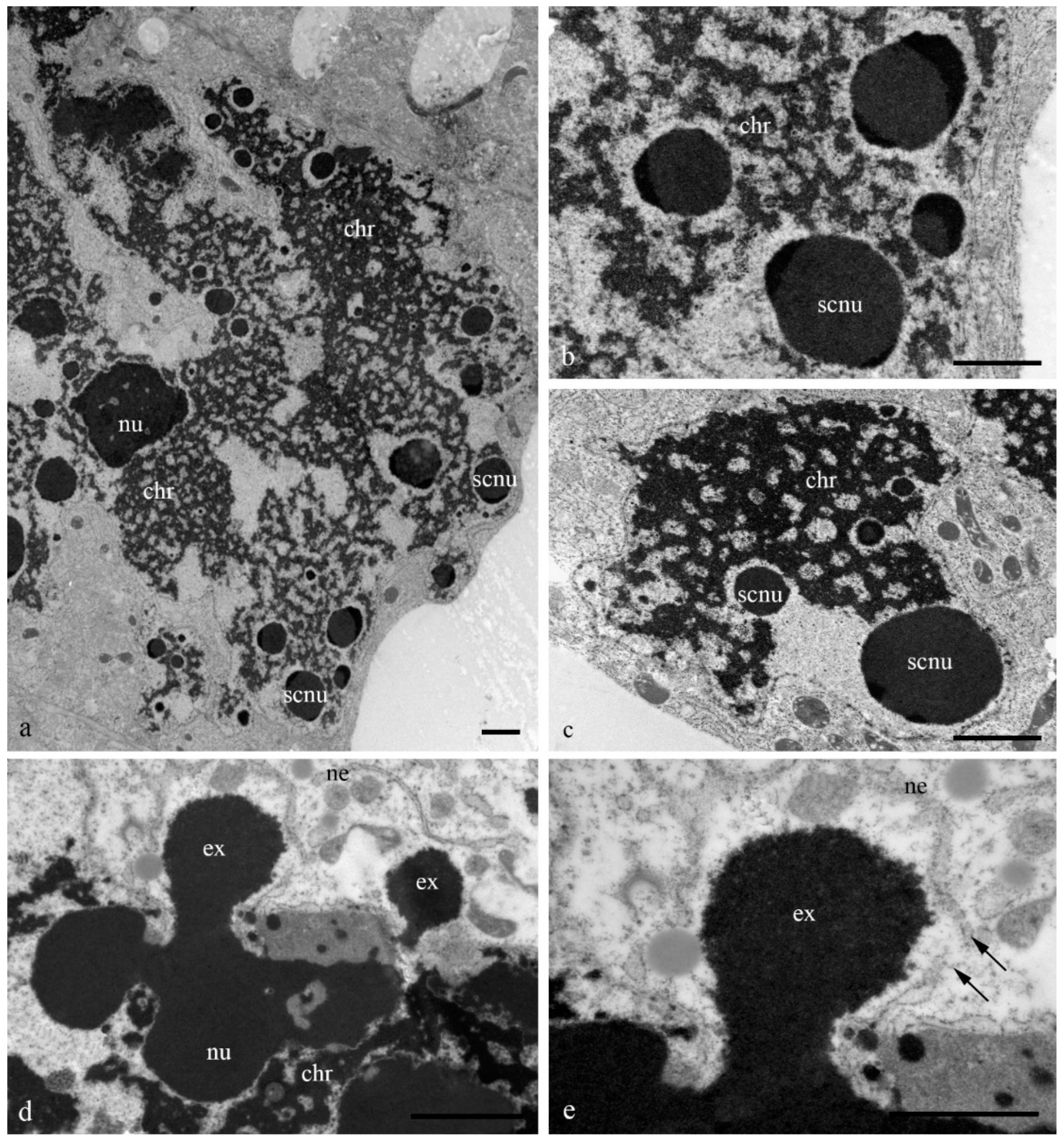 Biology 11 01340 g005