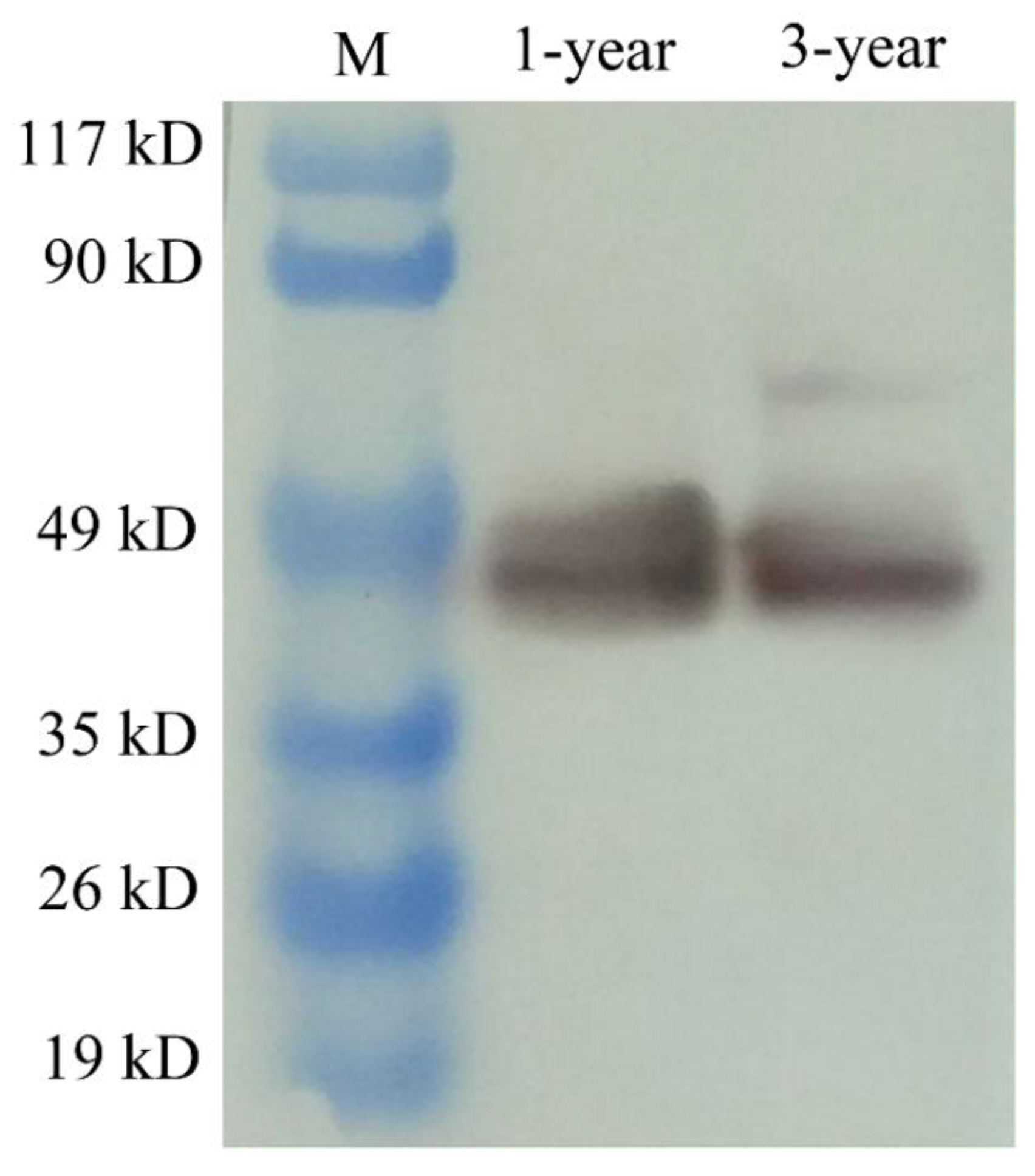 Biology 11 01342 g005