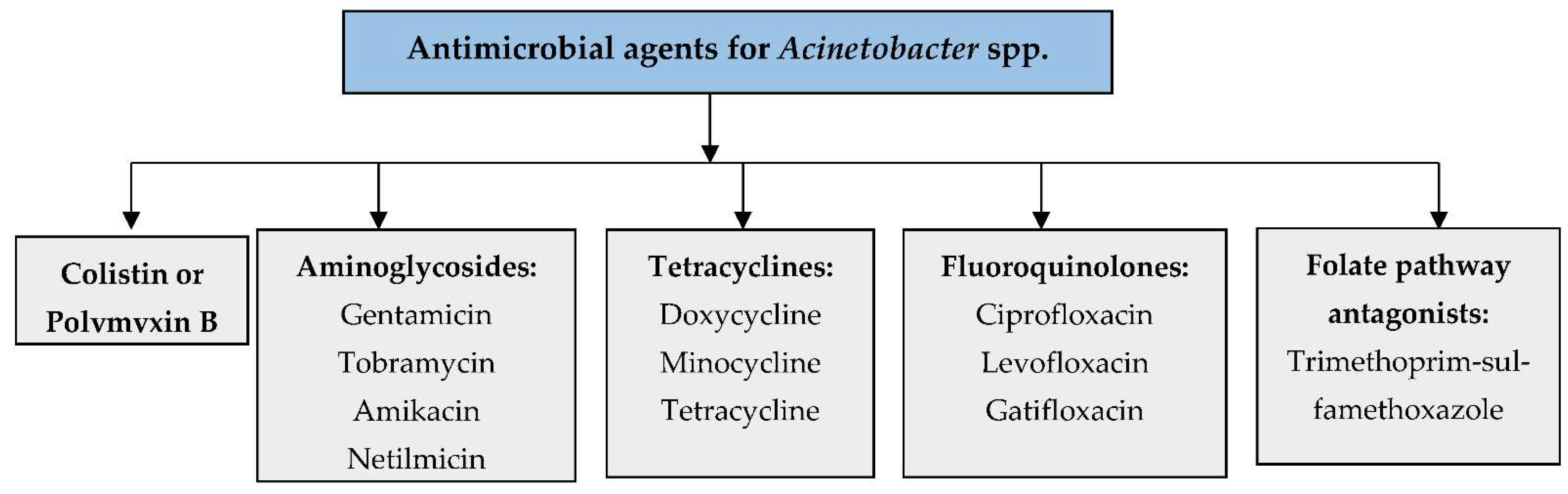 Biology 11 01343 g002 Biology 11 01343 g002