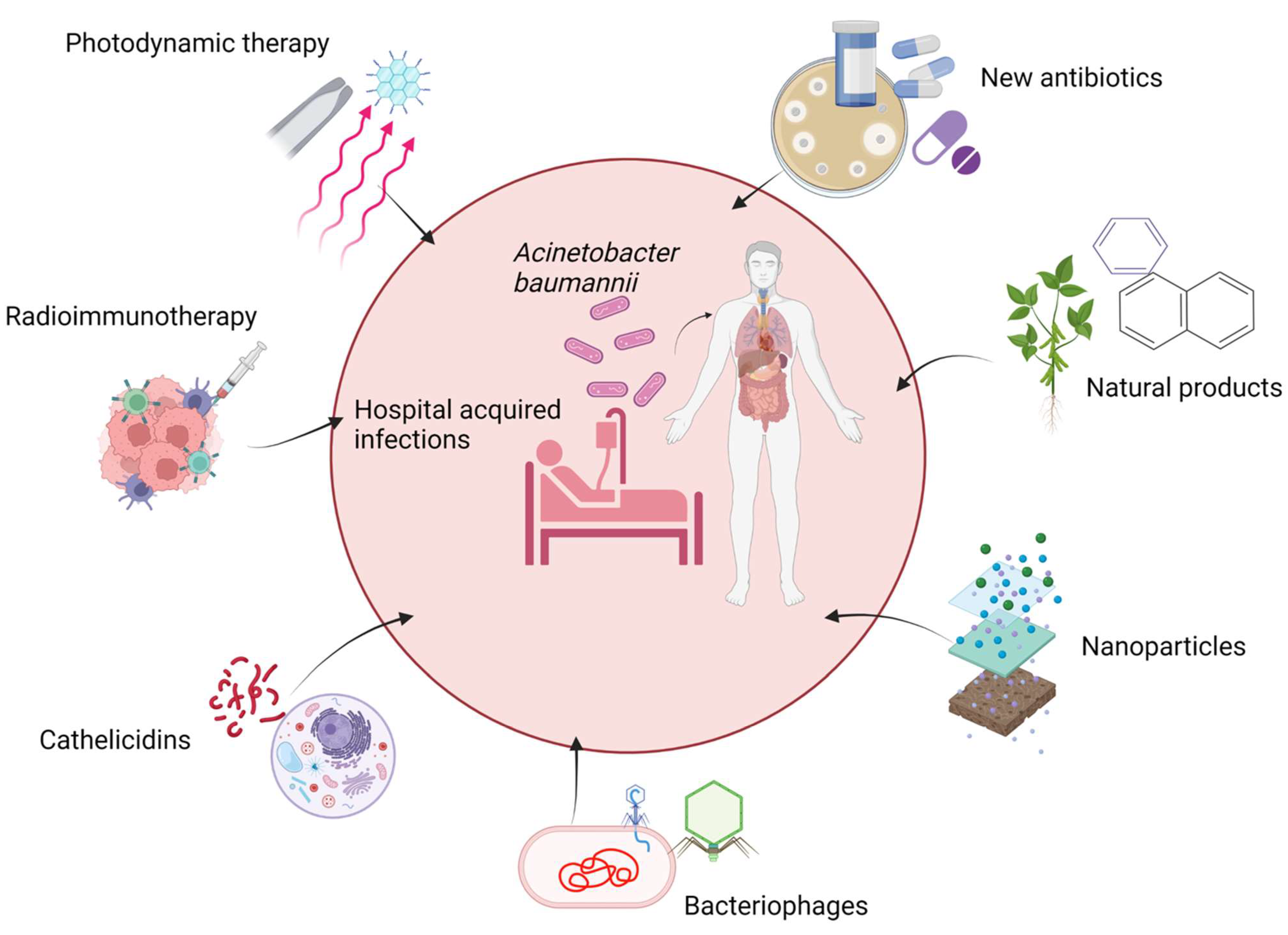 Biology 11 01343 g003 Biology 11 01343 g003